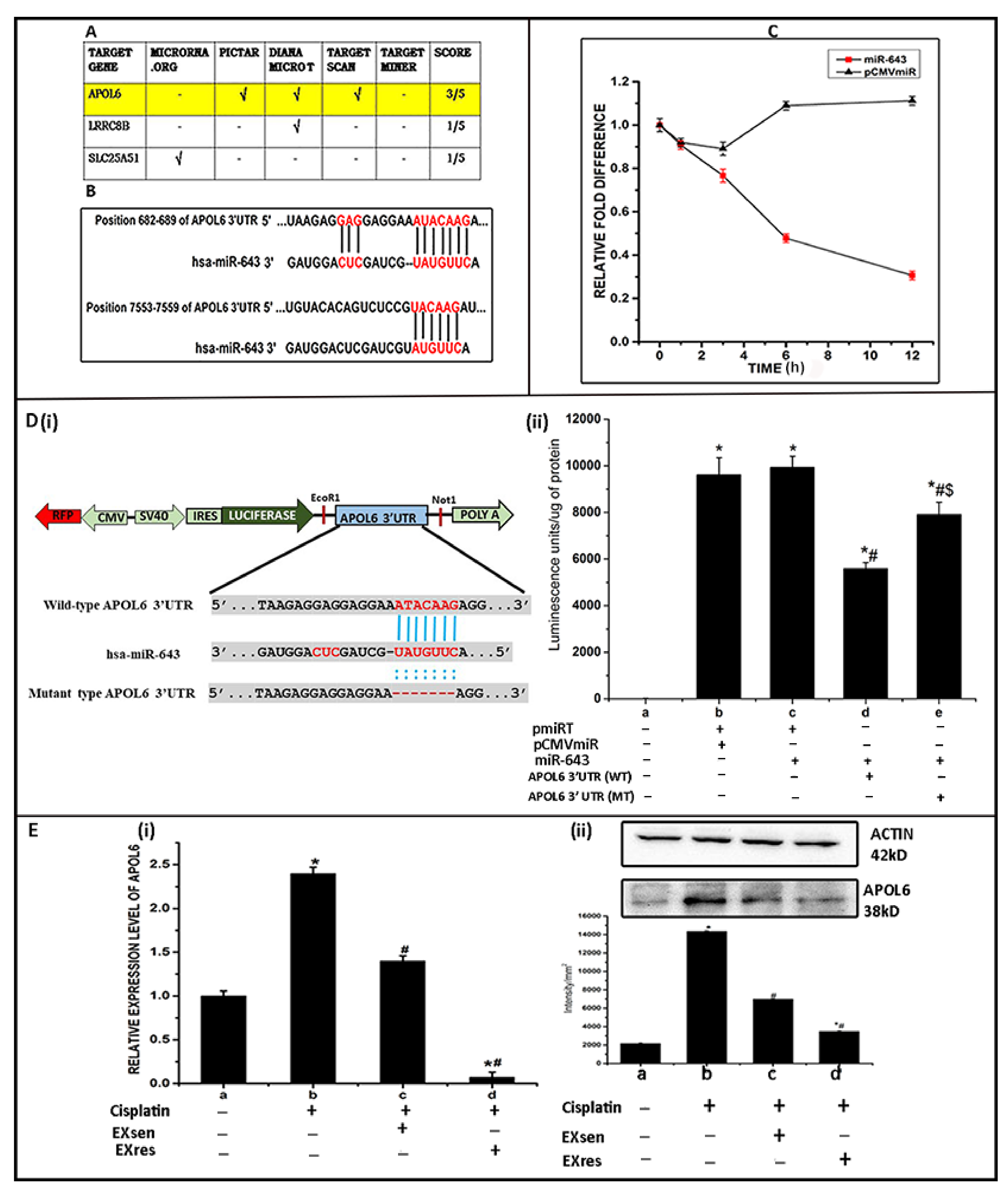 Cells 10 01341 g005 Cells 10 01341 g005