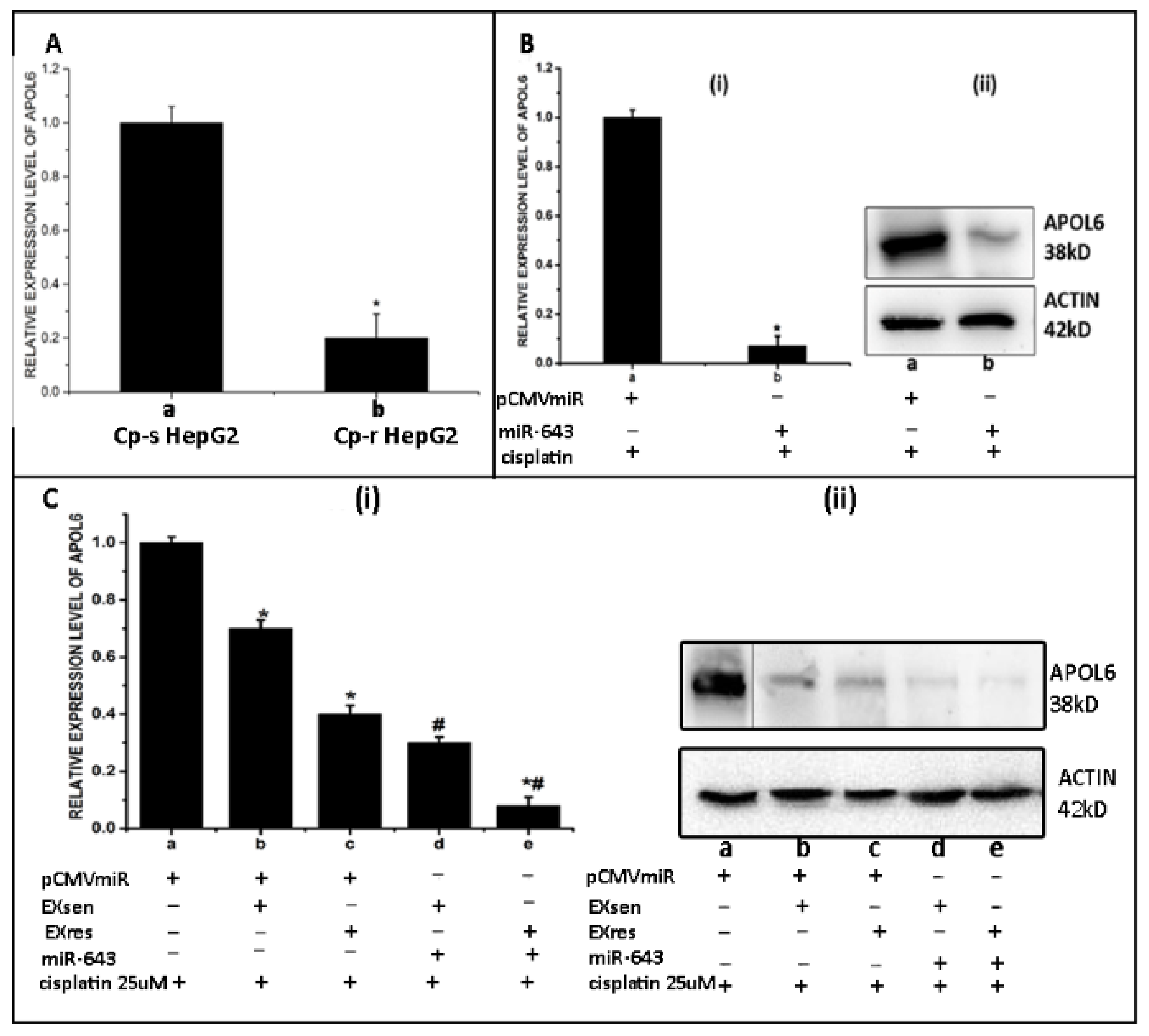 Cells 10 01341 g006 Cells 10 01341 g006