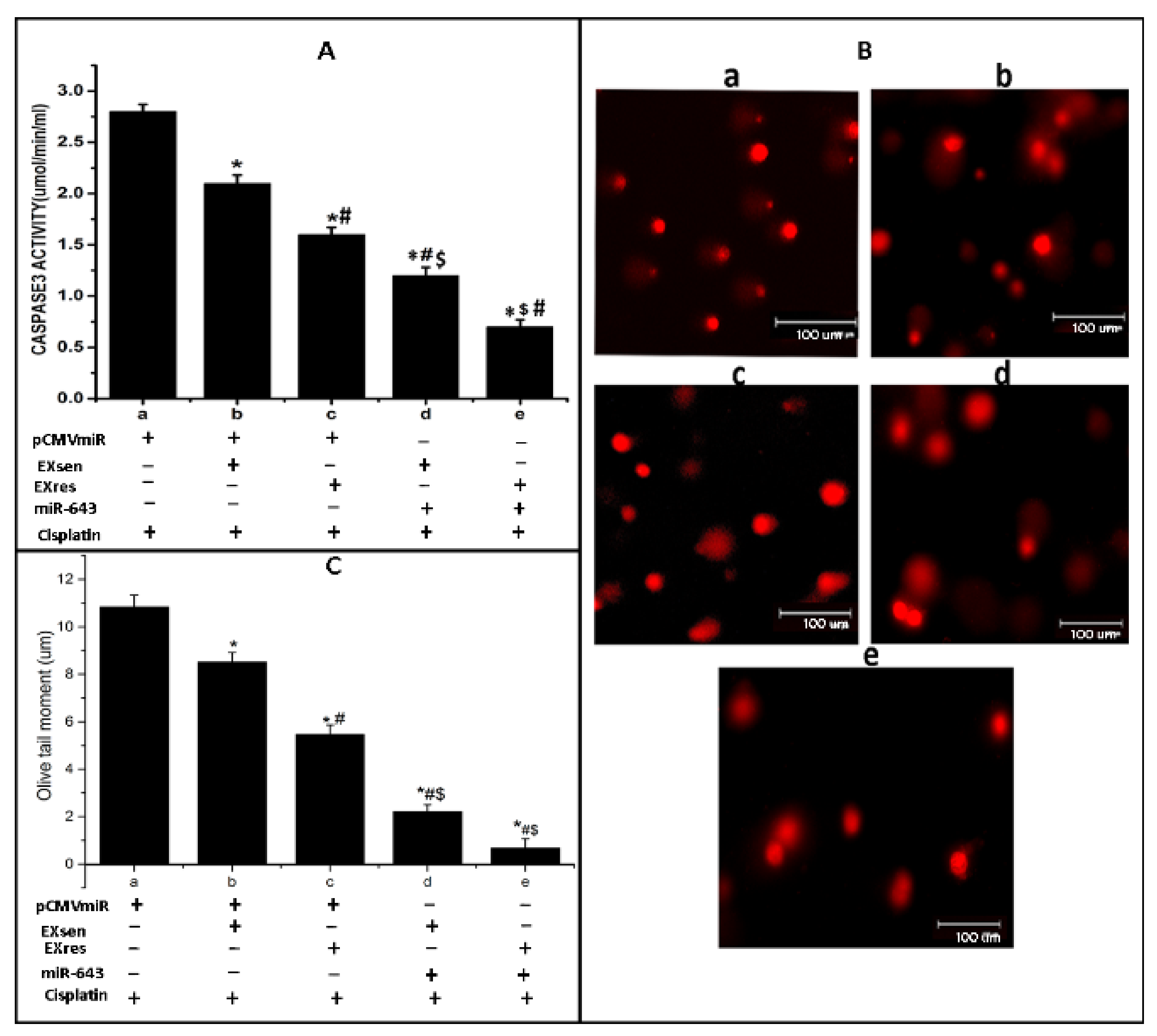 Cells 10 01341 g007 Cells 10 01341 g007