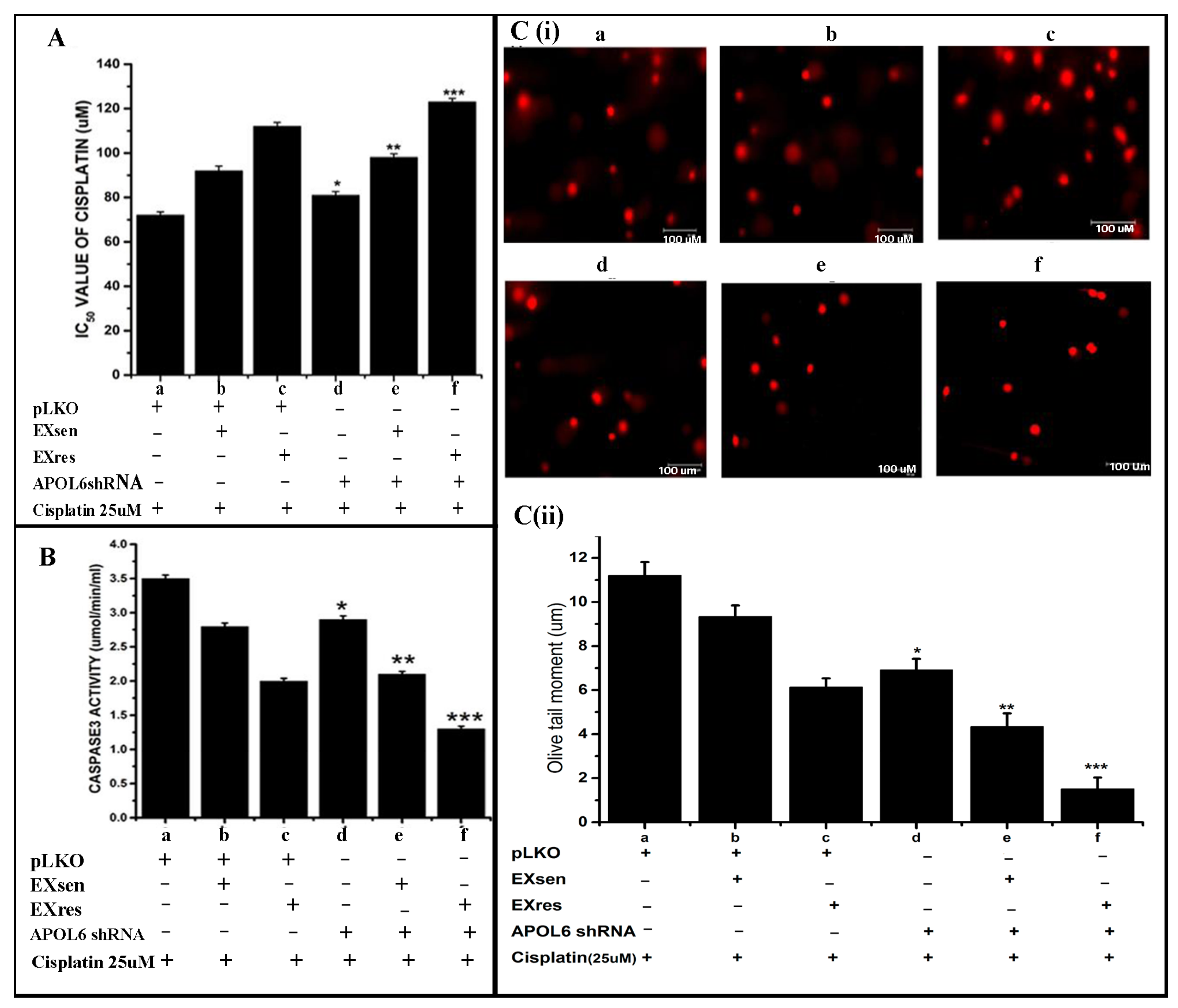 Cells 10 01341 g009 Cells 10 01341 g009