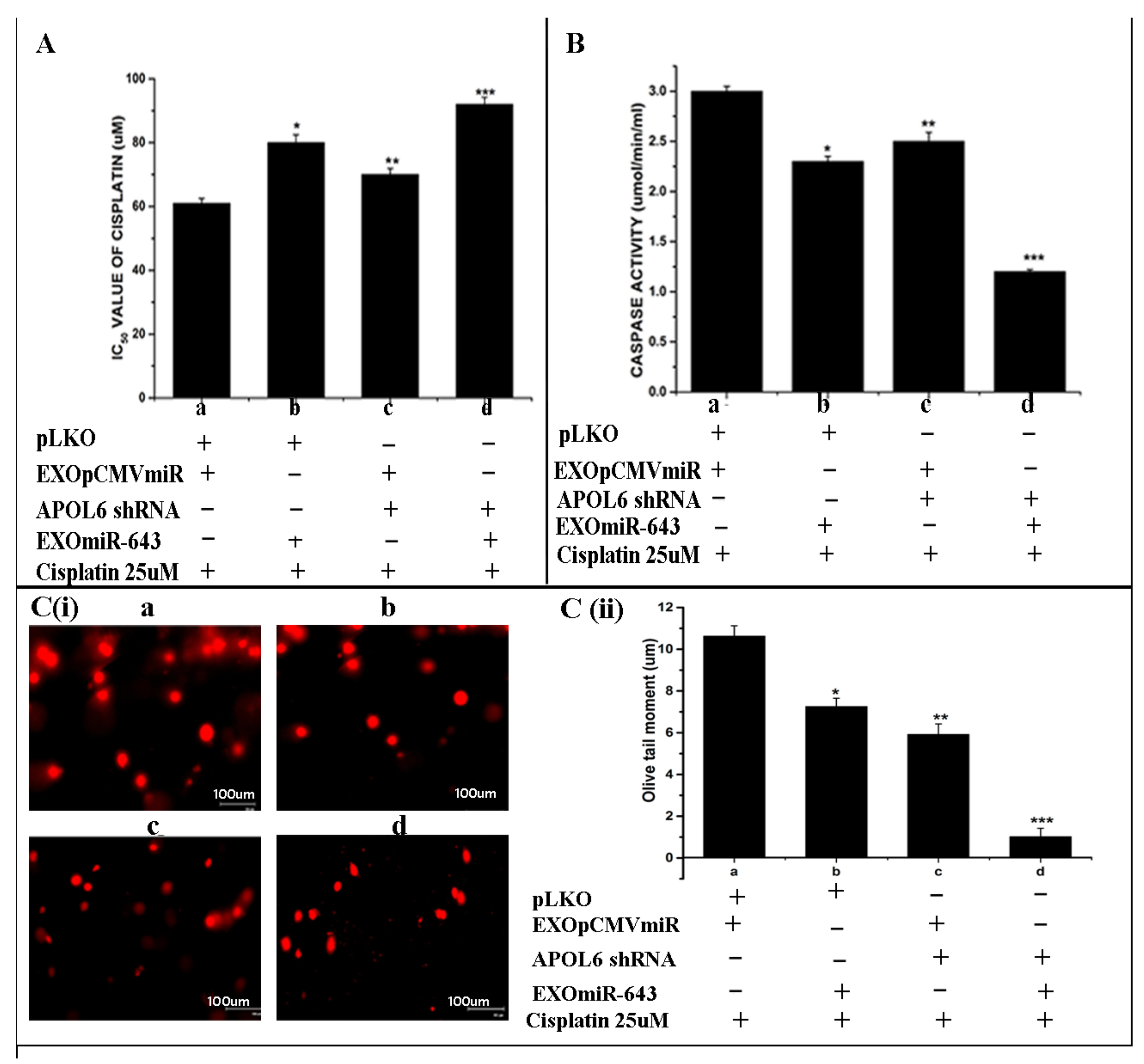 Cells 10 01341 g010 Cells 10 01341 g010
