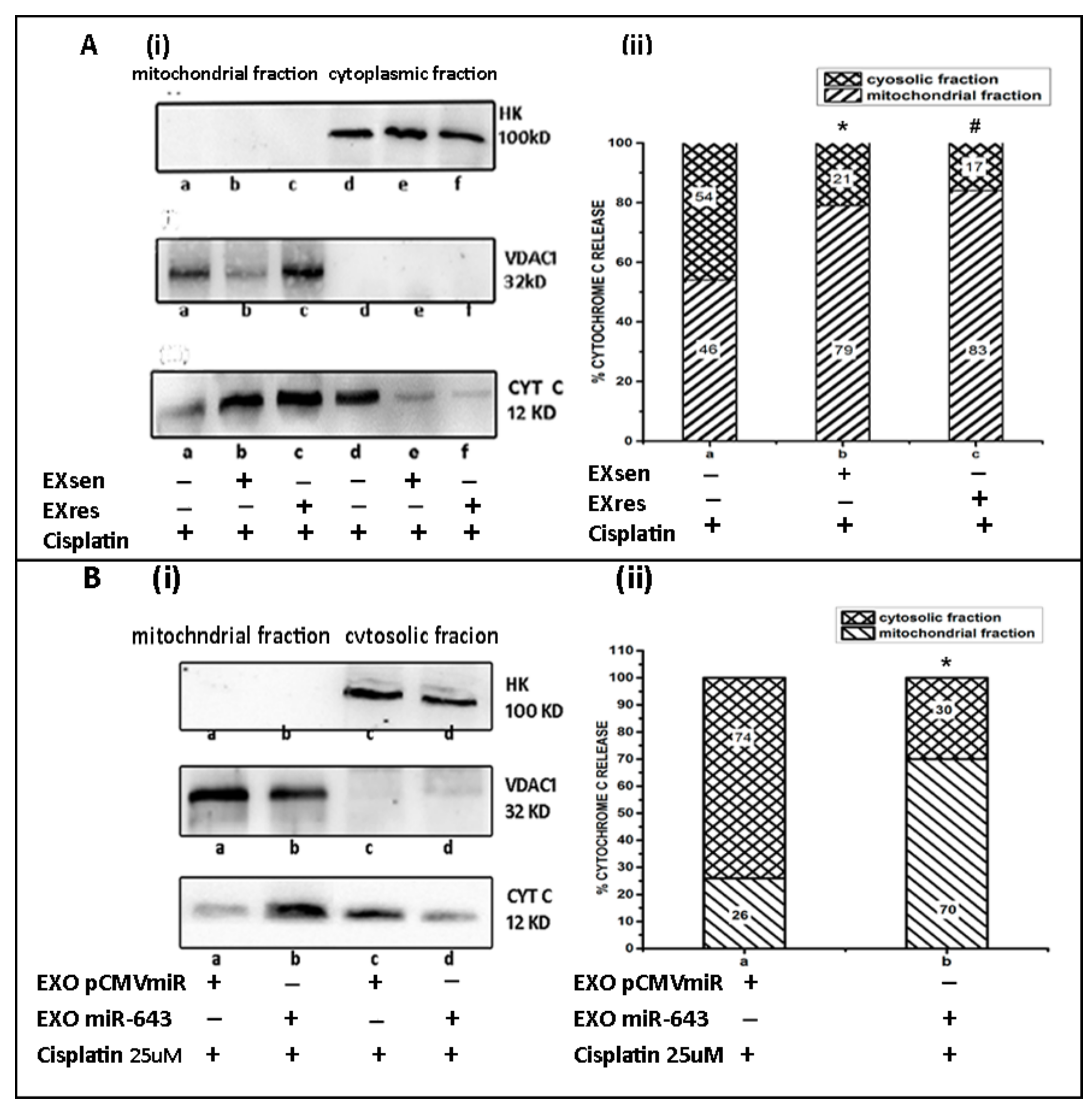 Cells 10 01341 g011 Cells 10 01341 g011