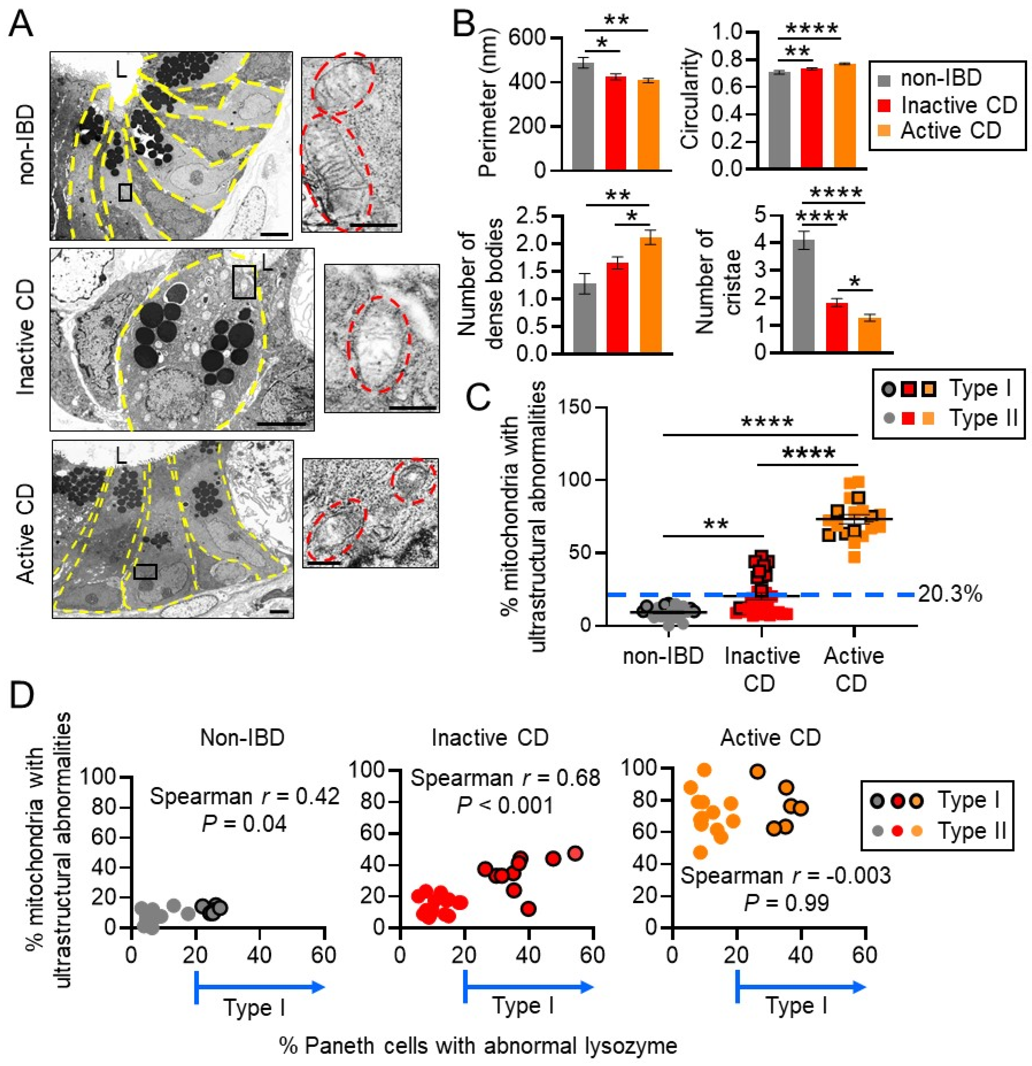 Cells 10 01349 g002 Cells 10 01349 g002
