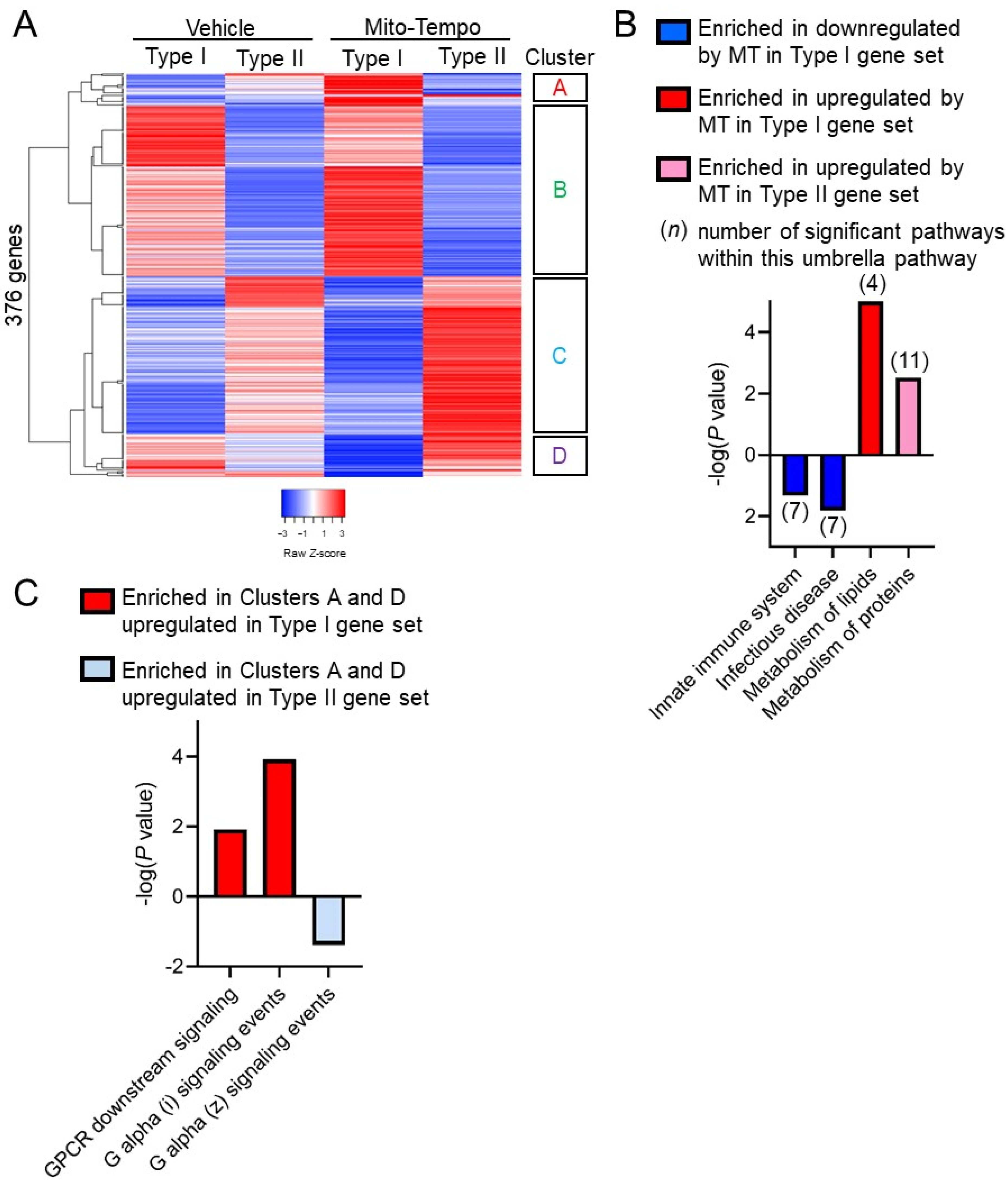 Cells 10 01349 g005 Cells 10 01349 g005