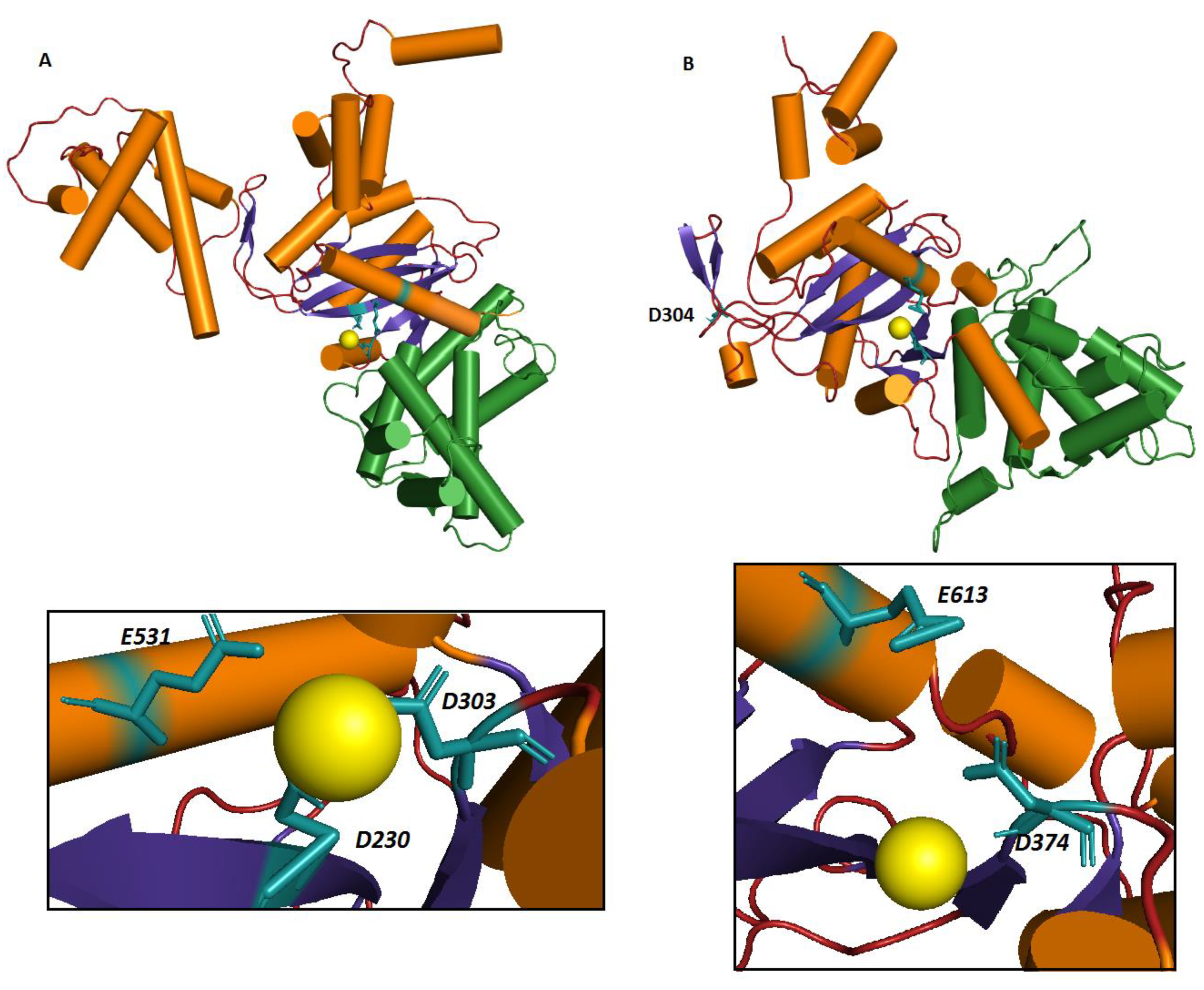 Cells 10 01351 g002 Cells 10 01351 g002