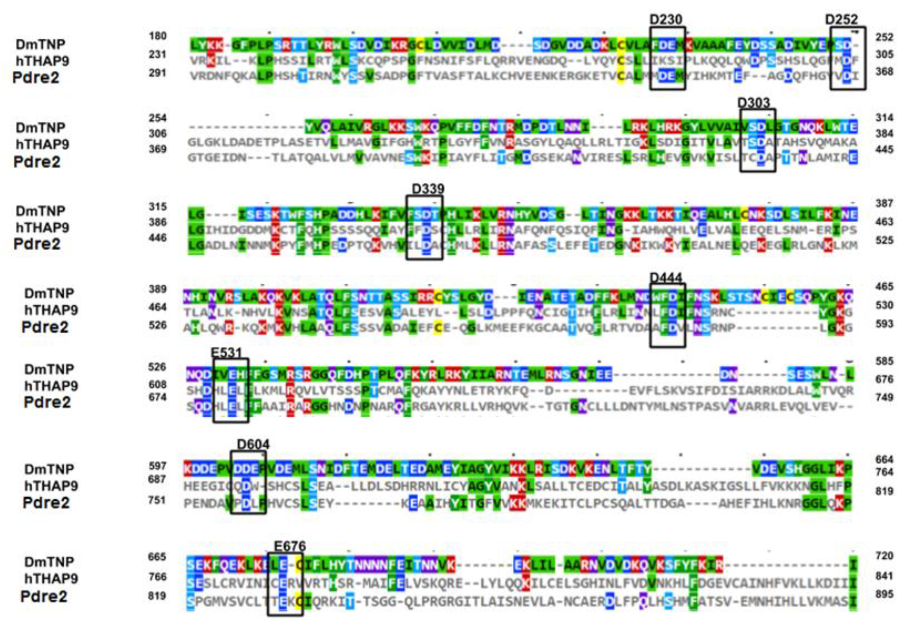 Cells 10 01351 g003 Cells 10 01351 g003