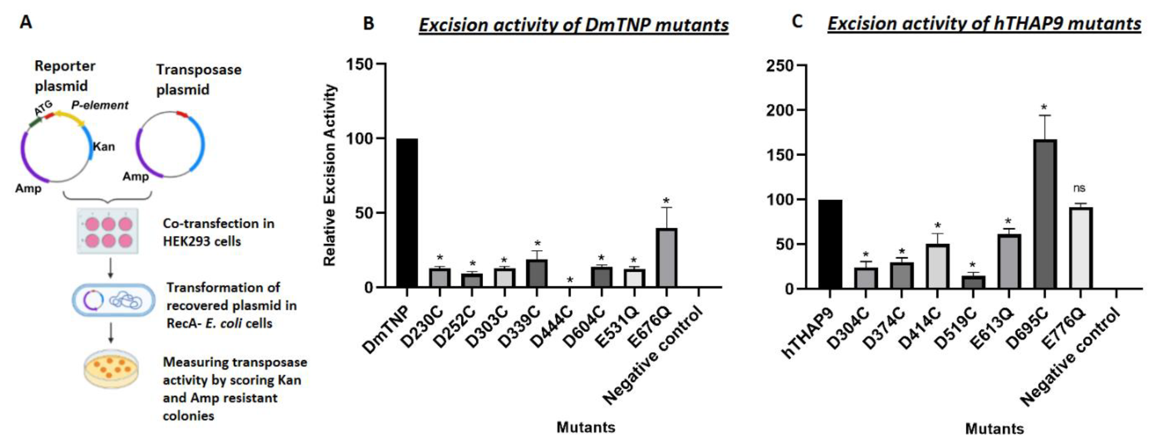 Cells 10 01351 g005 Cells 10 01351 g005