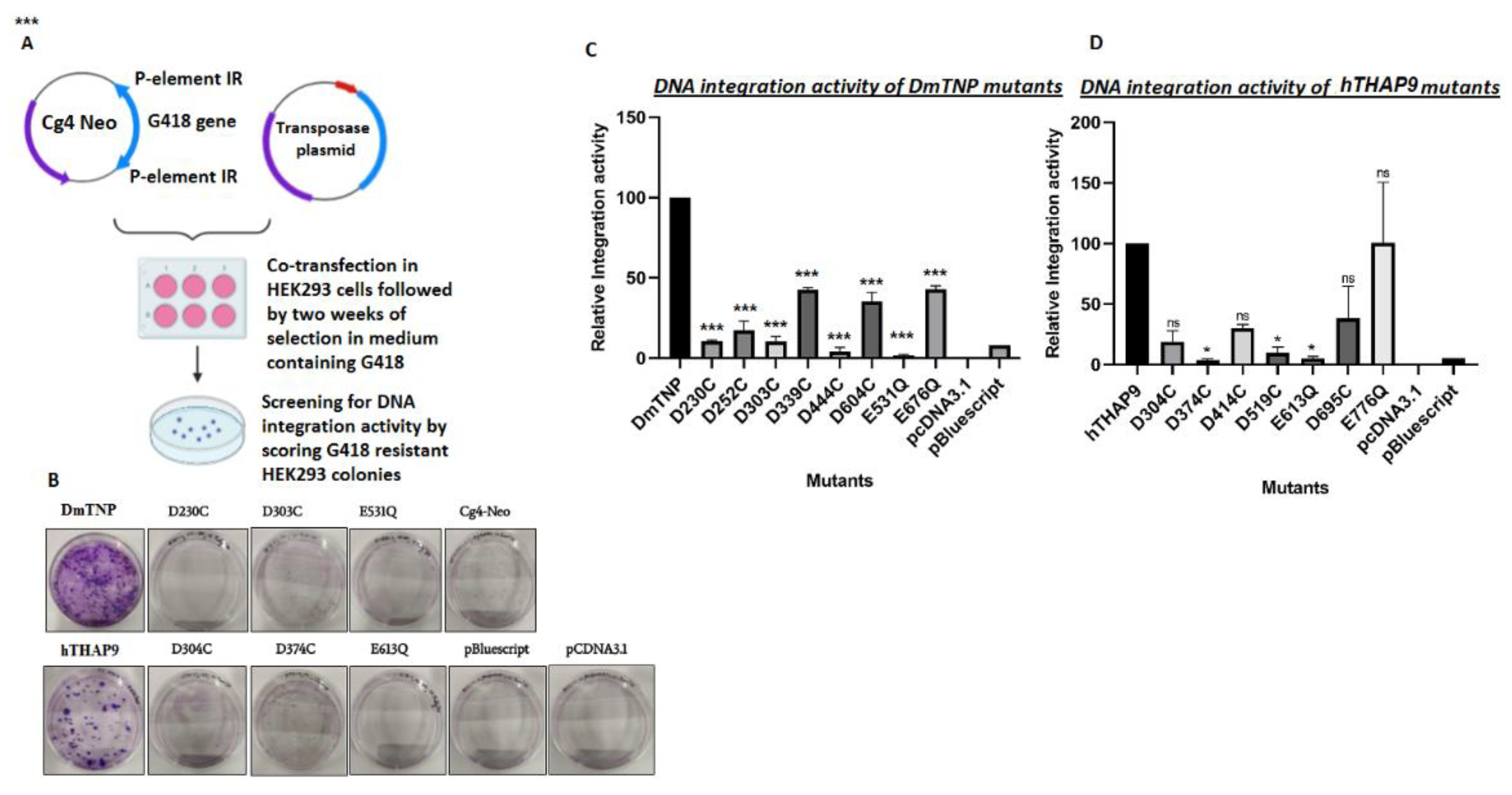 Cells 10 01351 g006 Cells 10 01351 g006