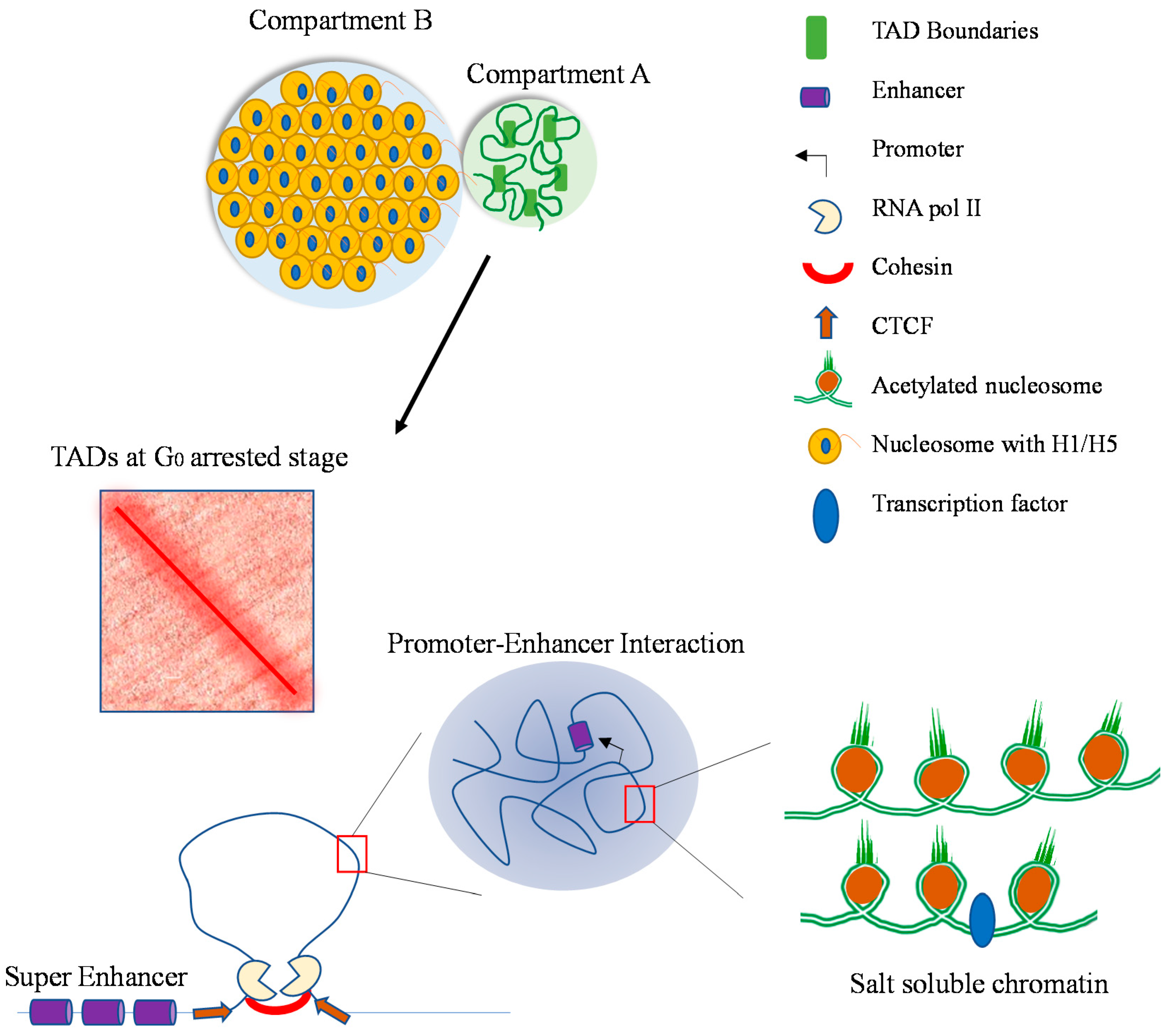 Cells 10 01354 g001 Cells 10 01354 g001