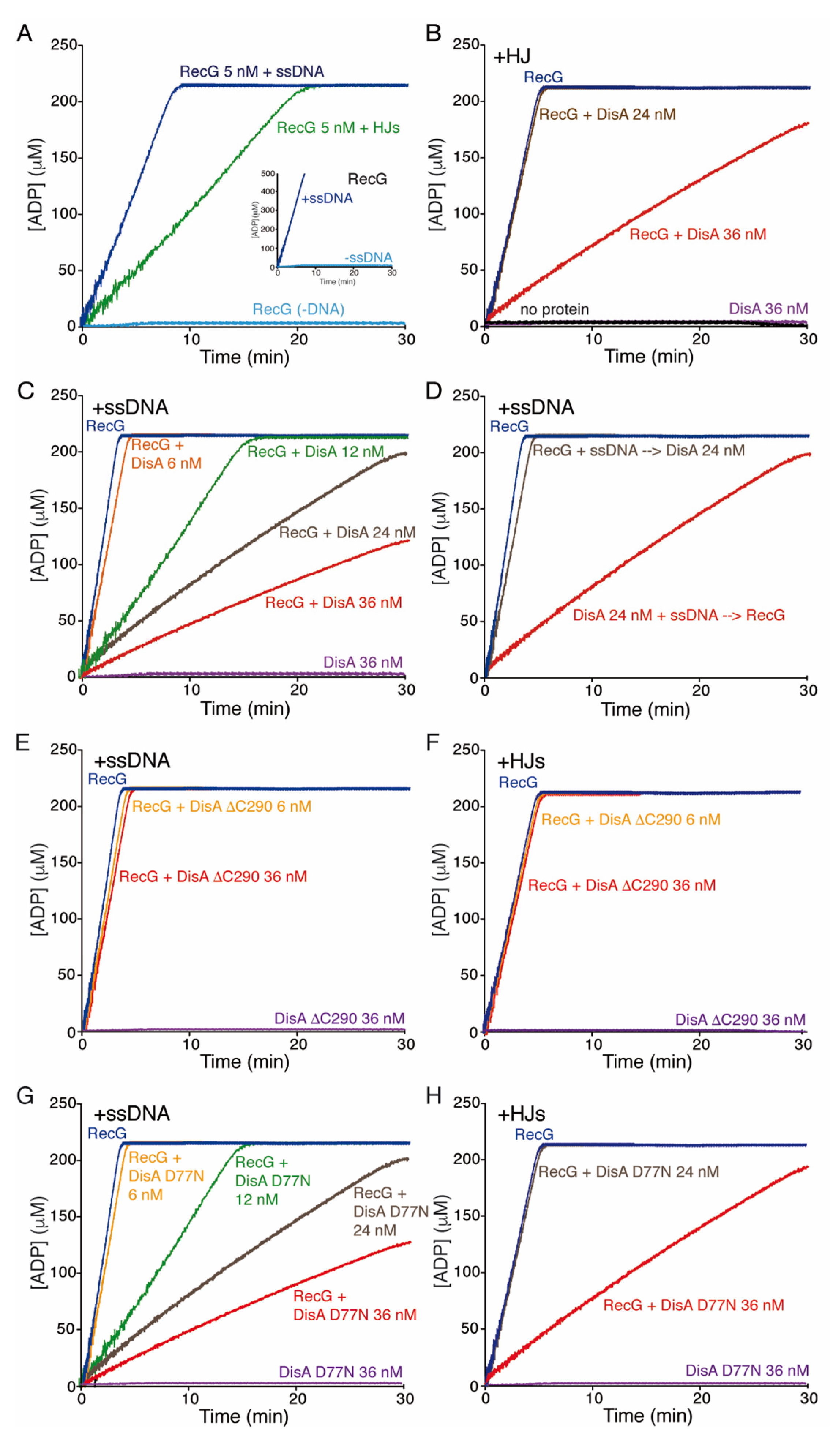 Cells 10 01357 g004 Cells 10 01357 g004
