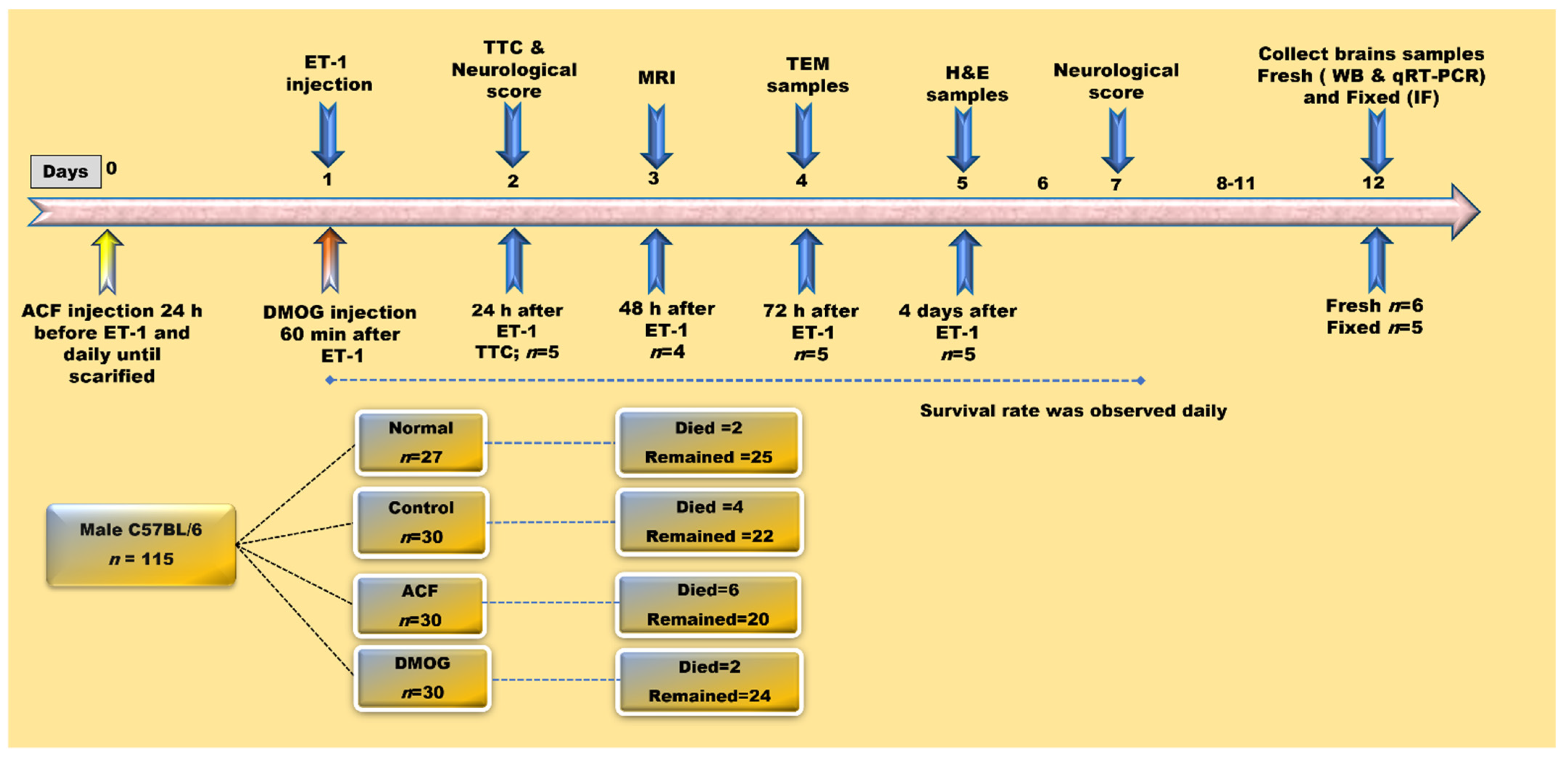 Cells 10 01359 sch001