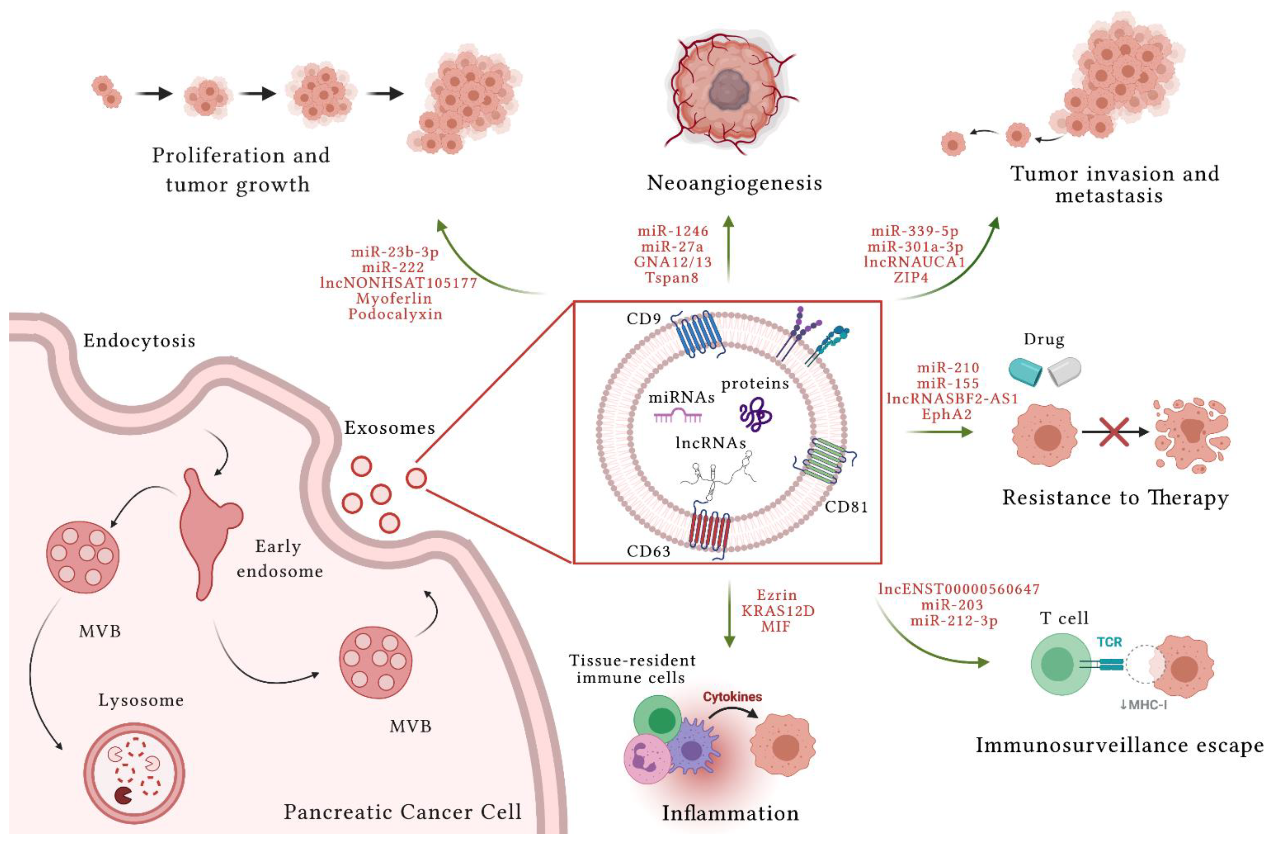 Cells 10 01361 g001 Cells 10 01361 g001