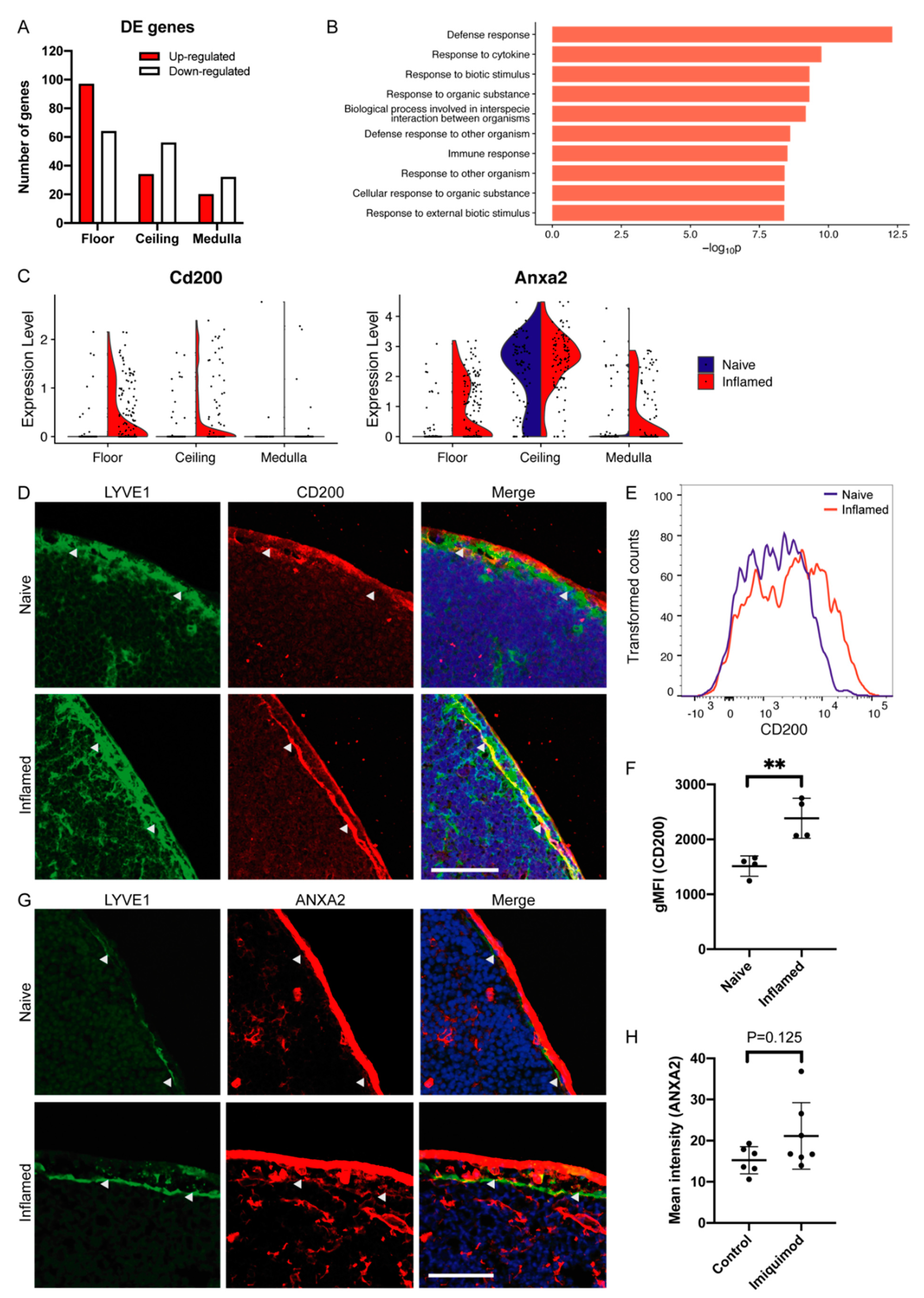 Cells 10 01371 g002 Cells 10 01371 g002