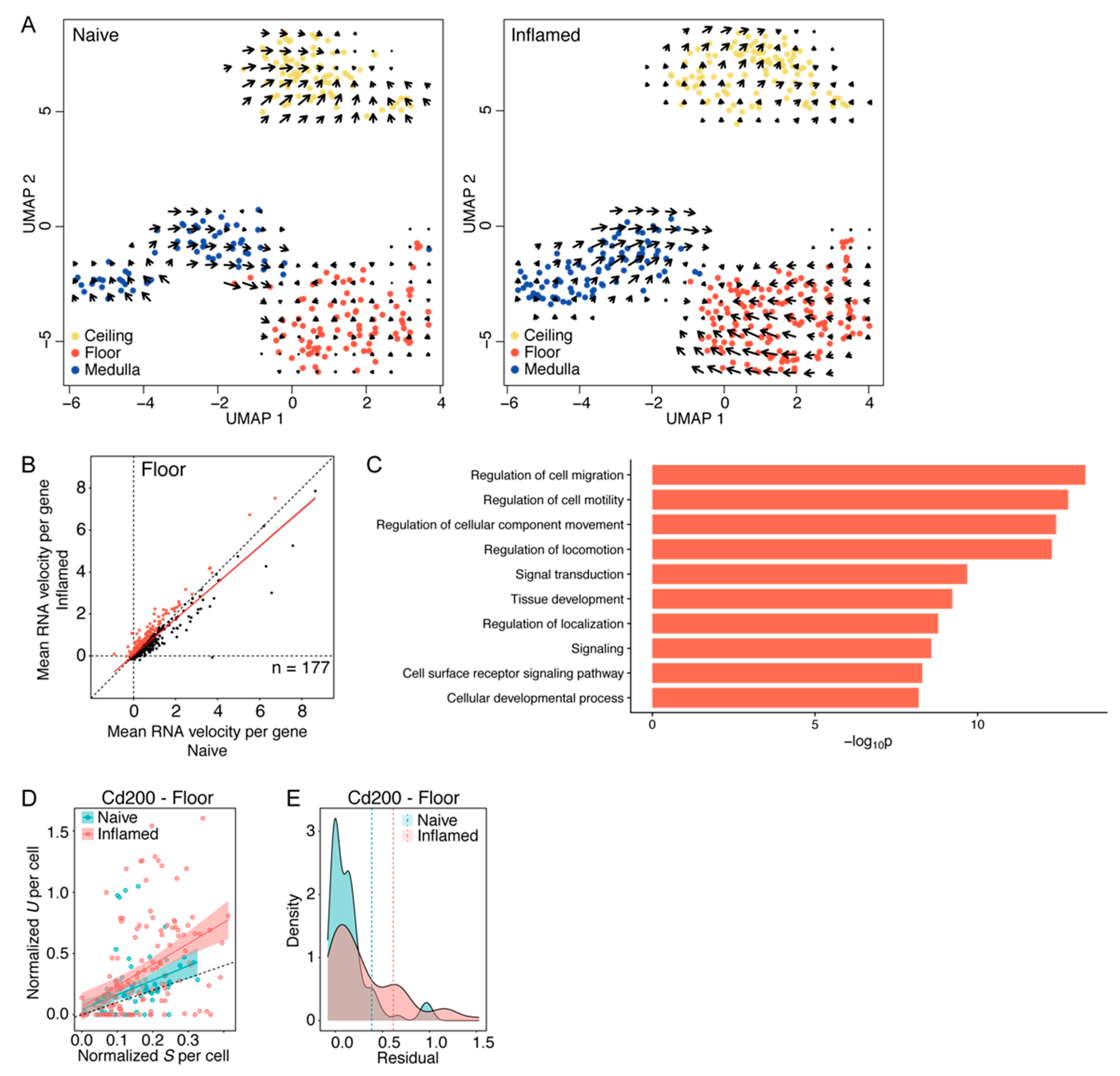 Cells 10 01371 g003 Cells 10 01371 g003