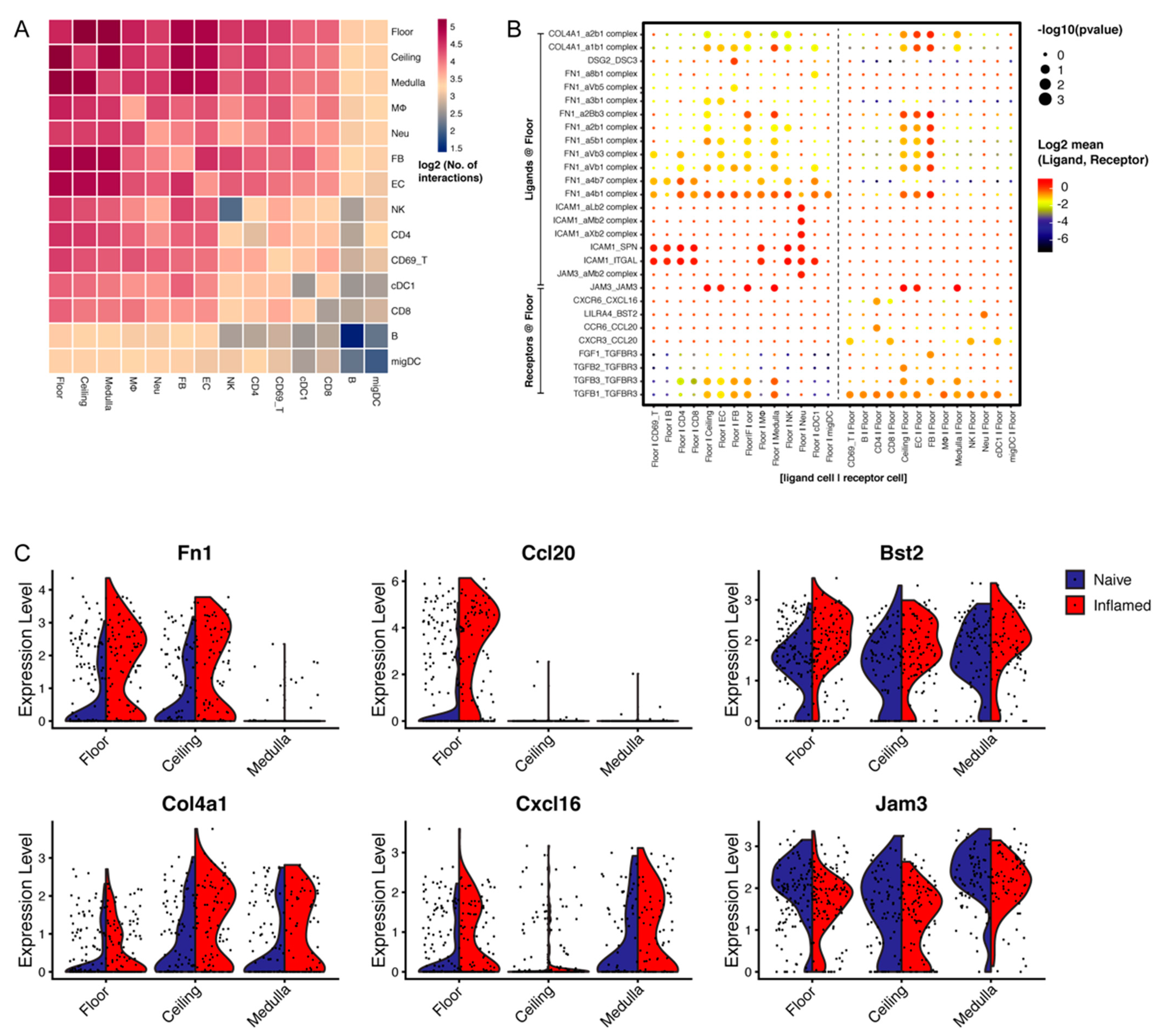 Cells 10 01371 g004 Cells 10 01371 g004