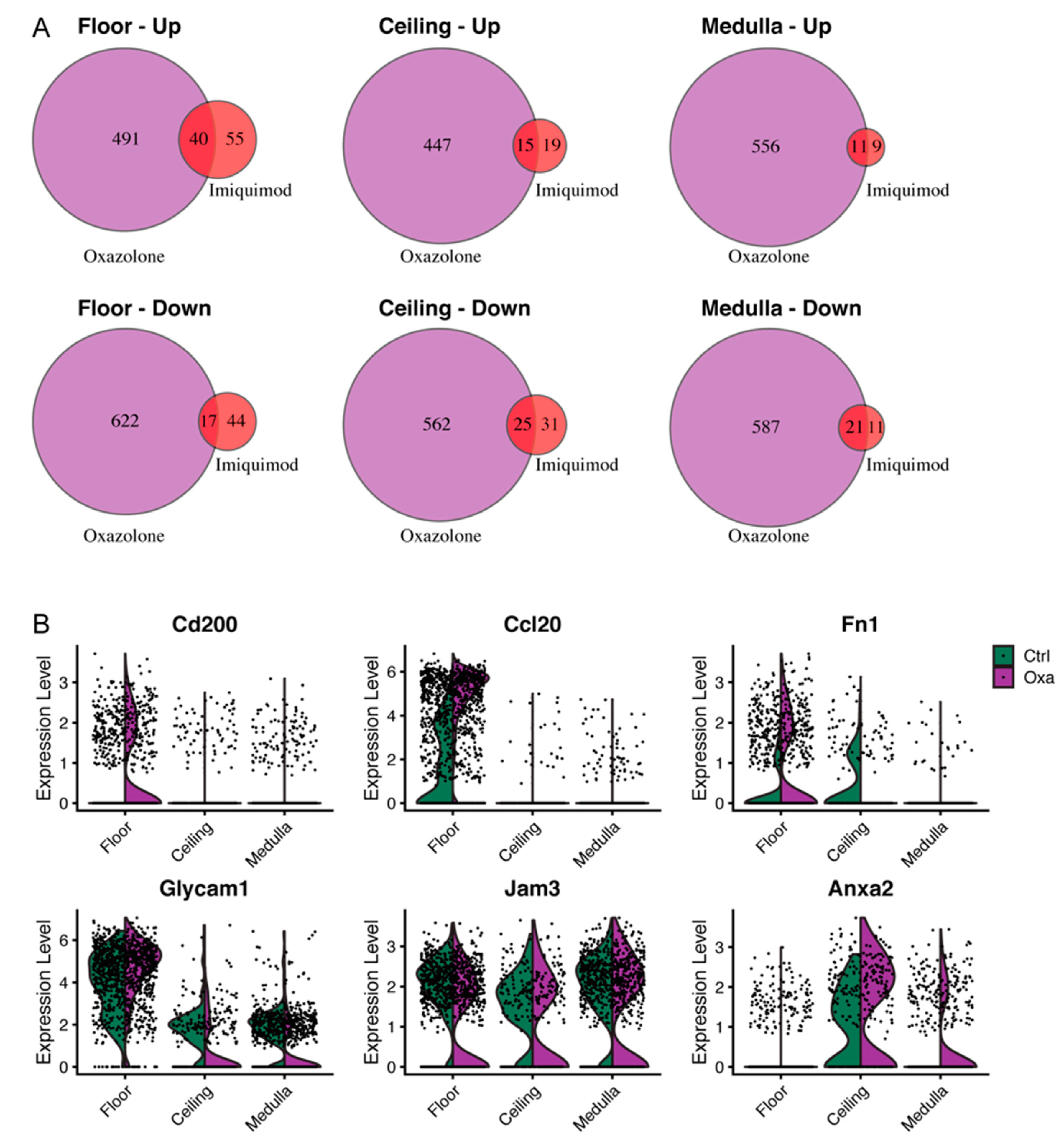 Cells 10 01371 g005 Cells 10 01371 g005