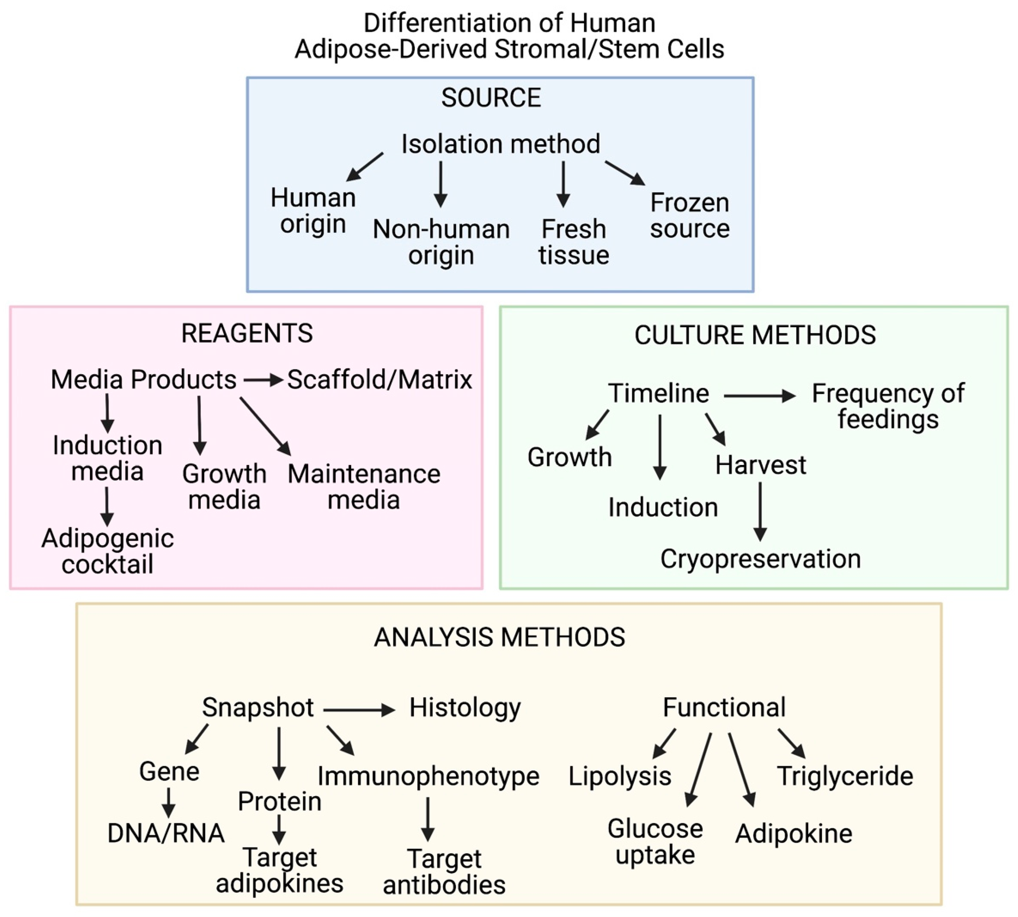 Cells 10 01378 g007 Cells 10 01378 g007