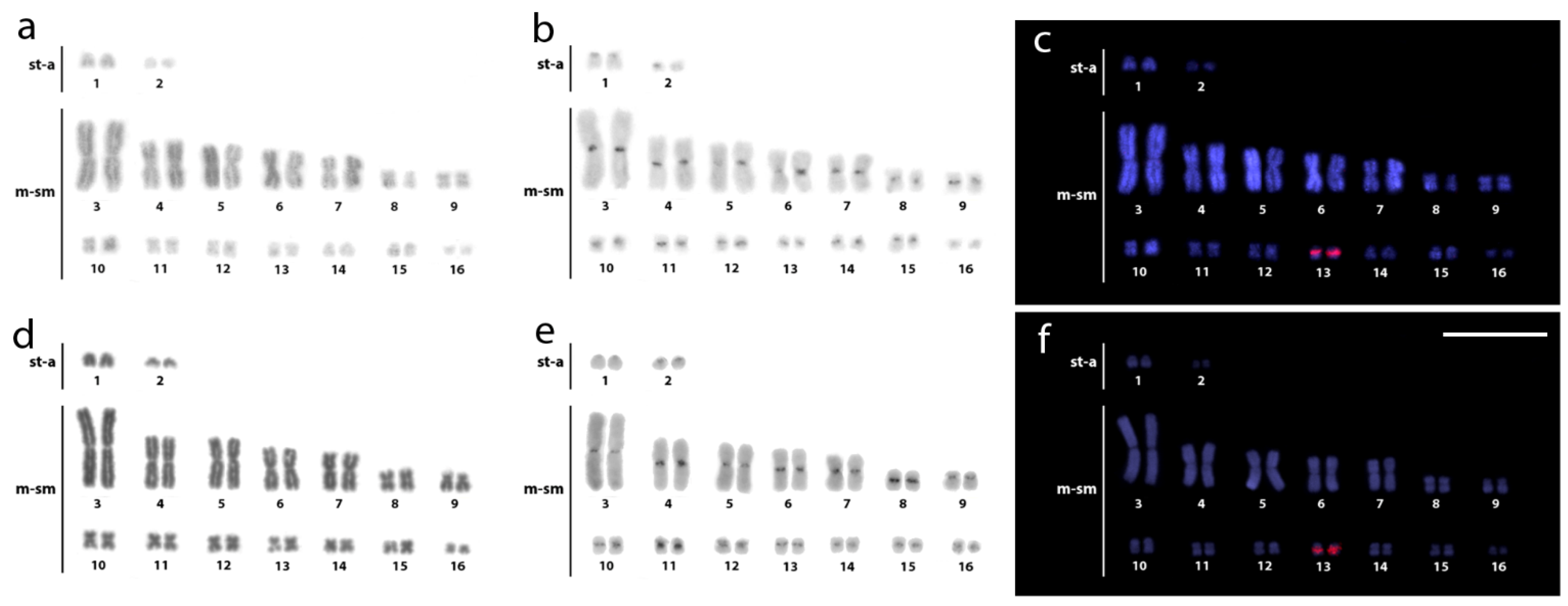 Cells 10 01397 g003 Cells 10 01397 g003