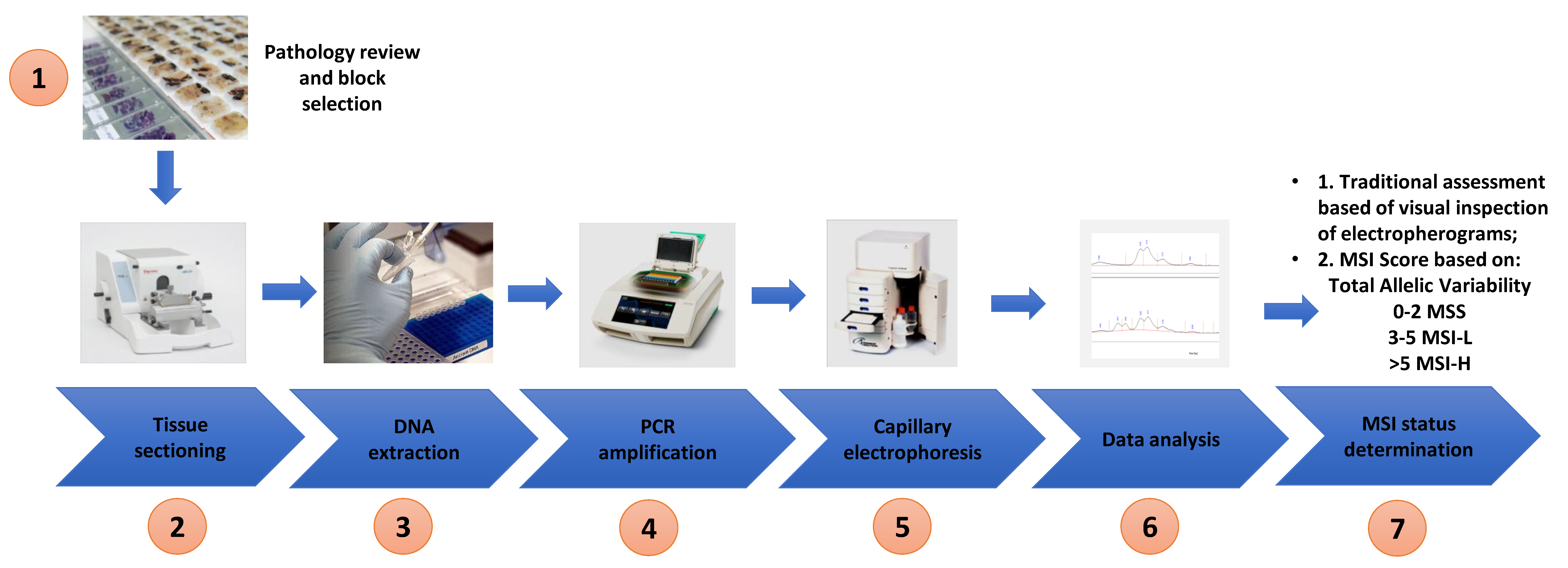 Cells 10 01401 g002 Cells 10 01401 g002