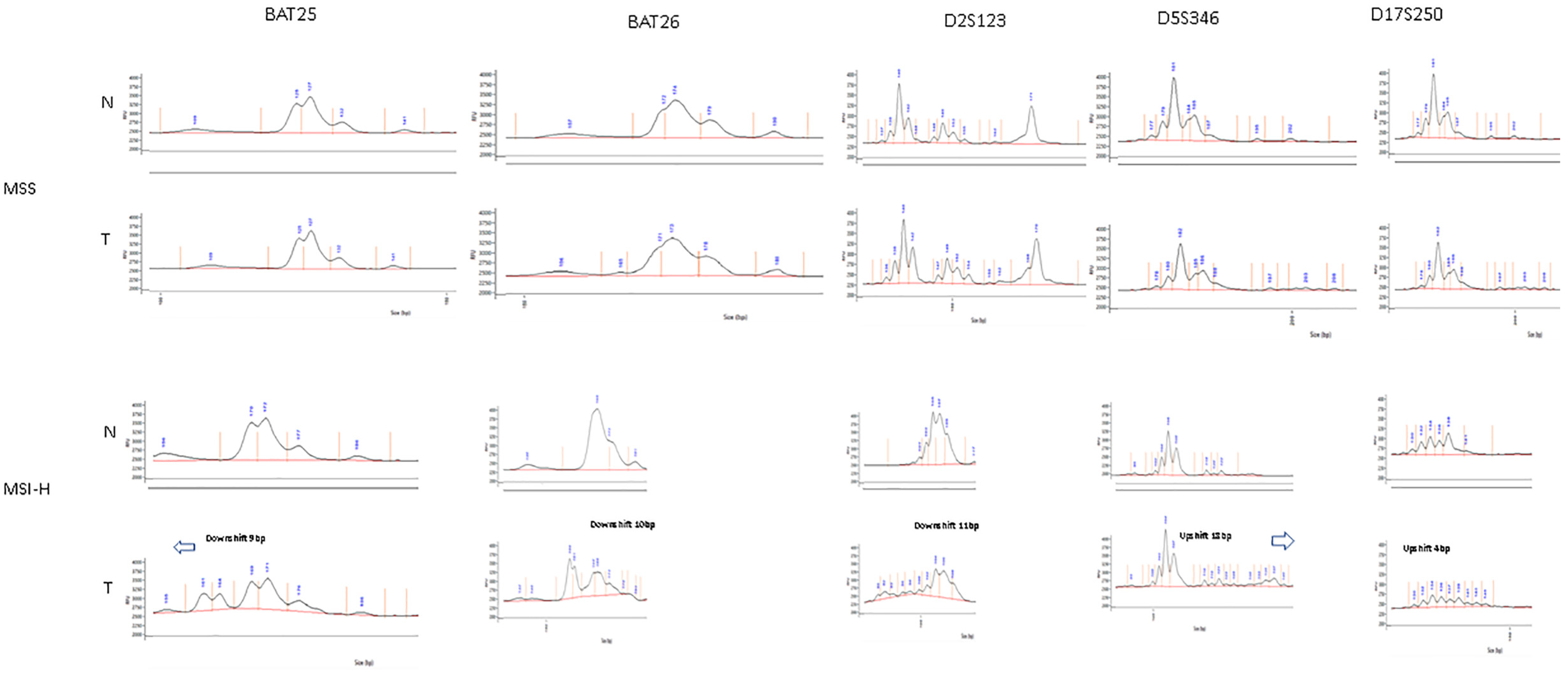 Cells 10 01401 g003 Cells 10 01401 g003