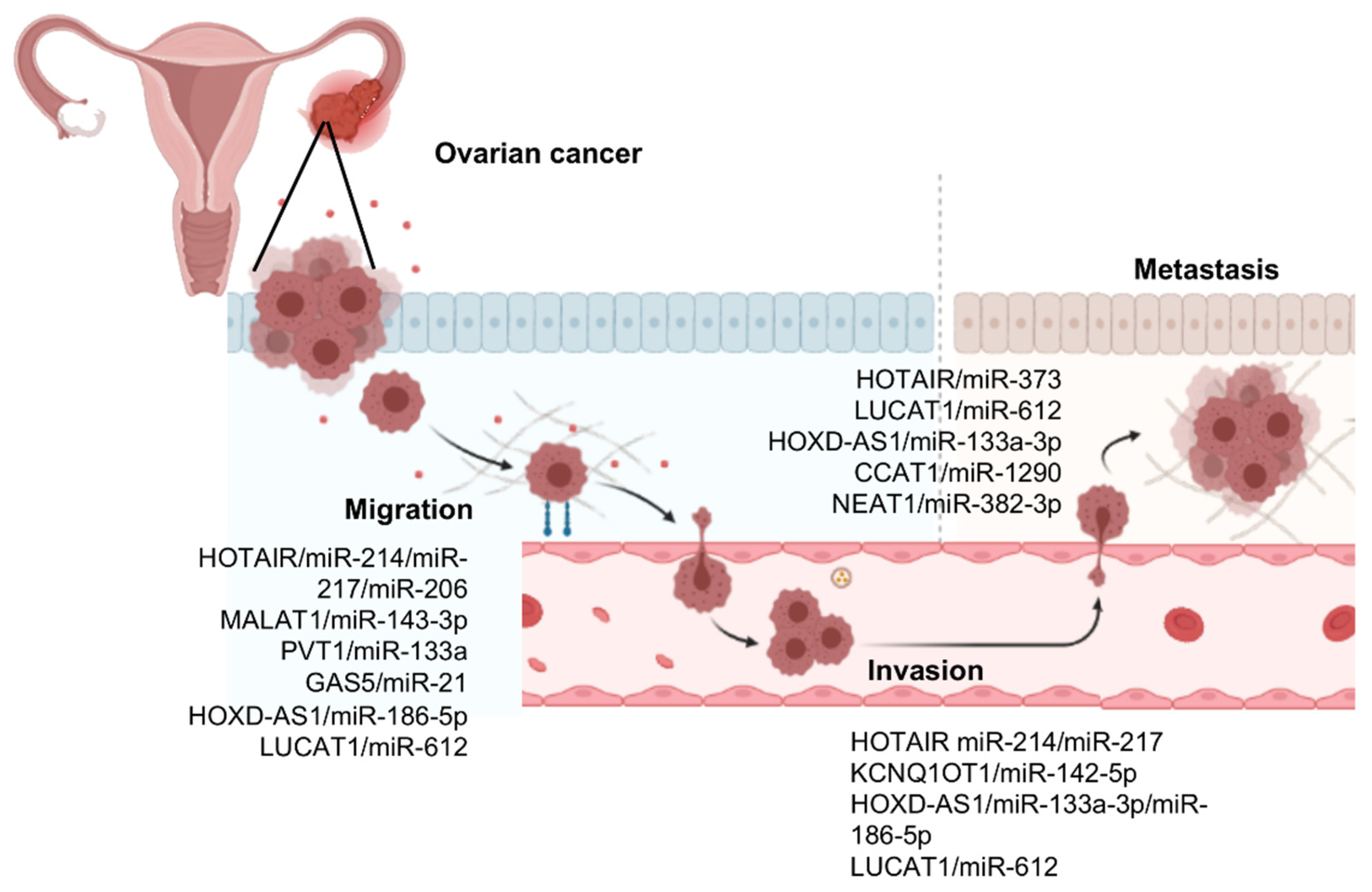 Cells 10 01407 g002 Cells 10 01407 g002