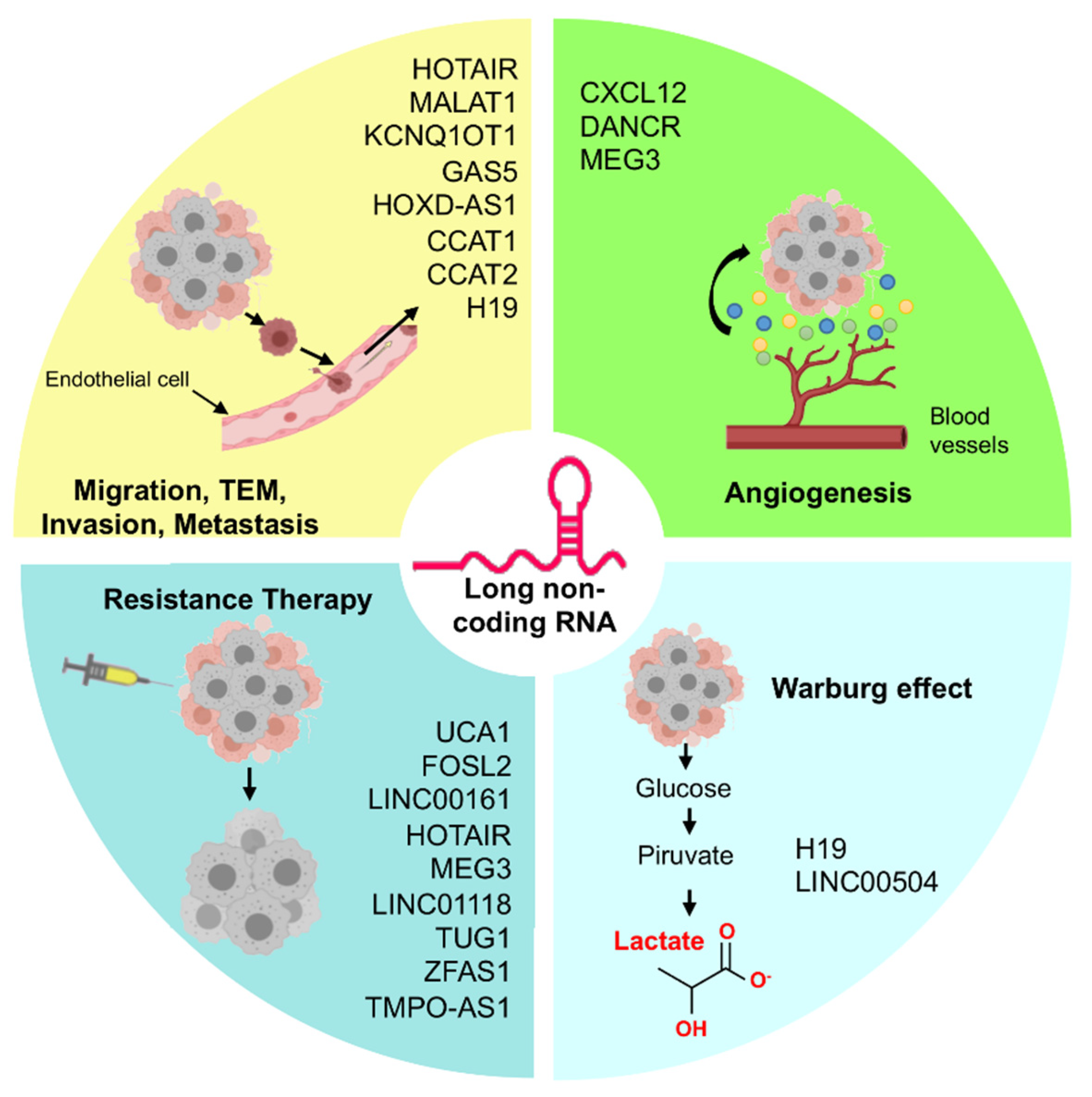 Cells 10 01407 g003 Cells 10 01407 g003