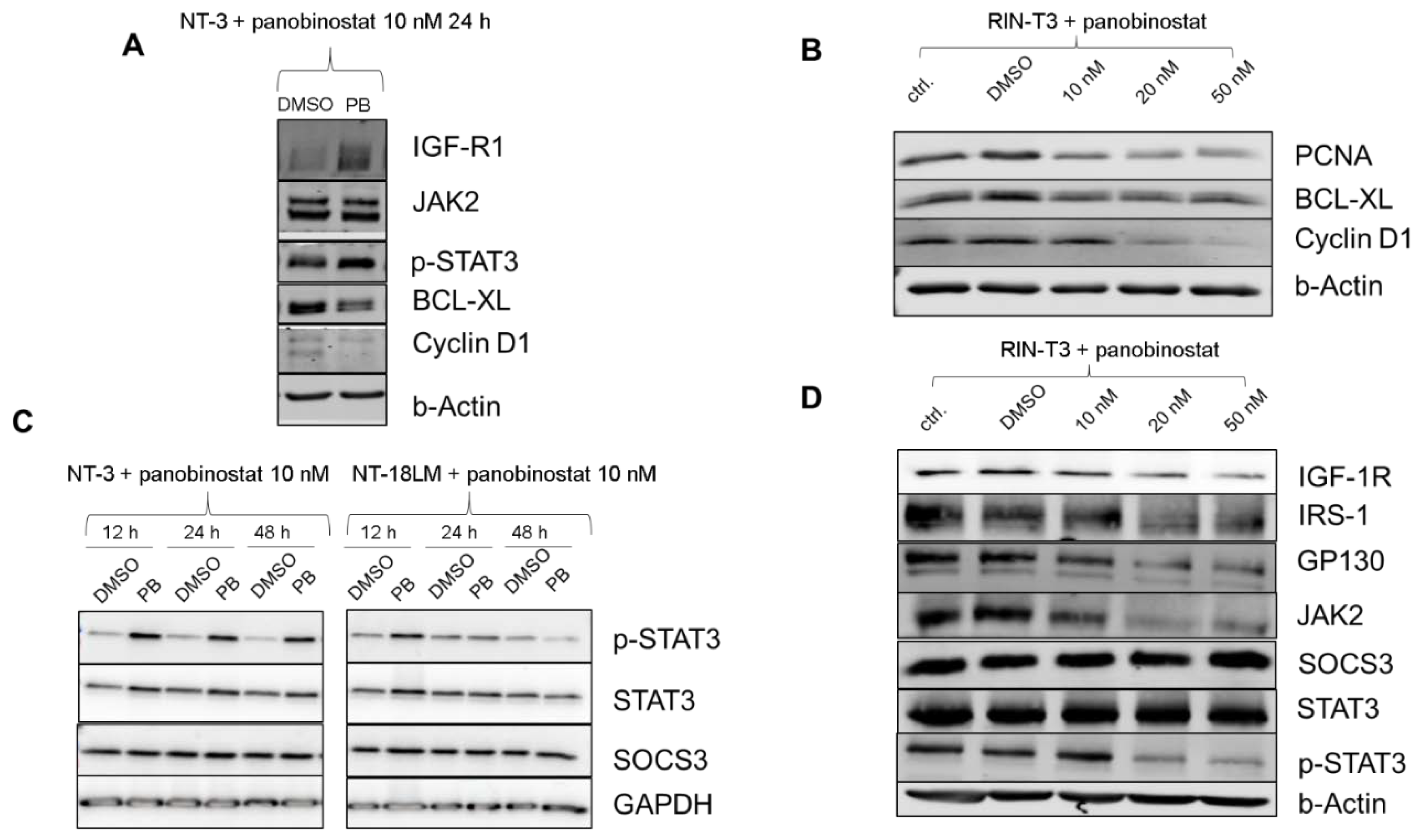 Cells 10 01408 g005 Cells 10 01408 g005