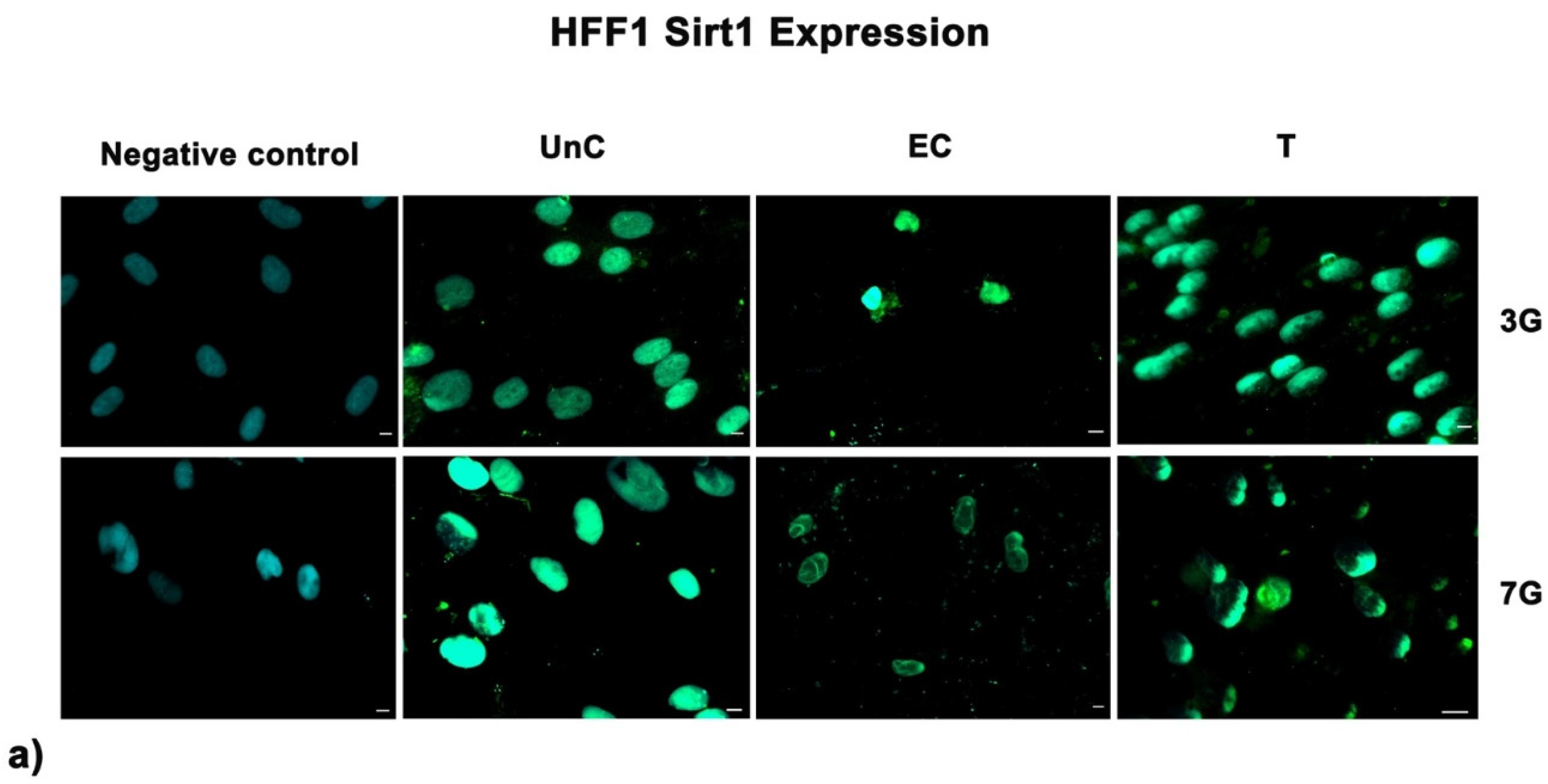 Cells 10 01415 g007a