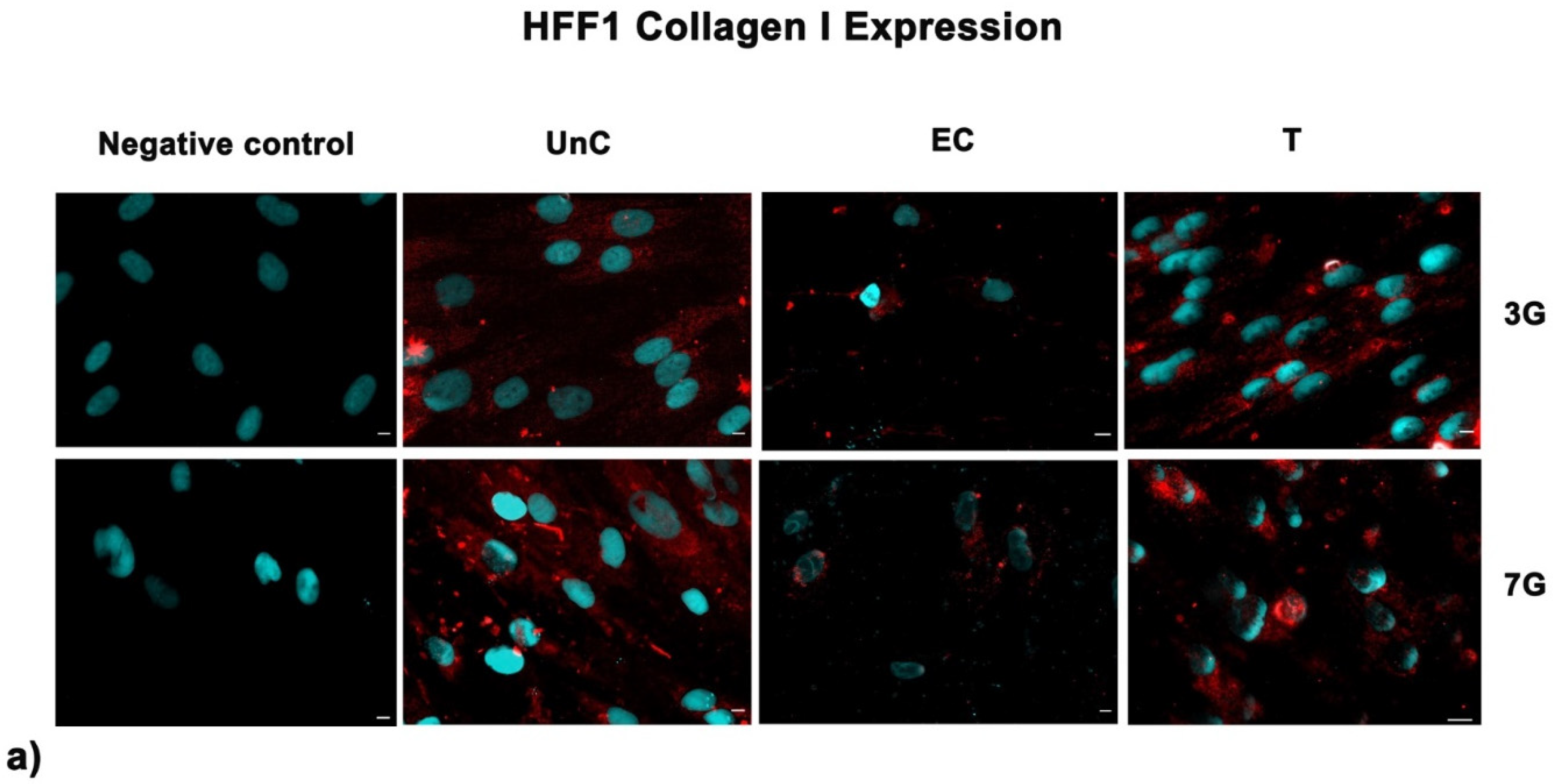 Cells 10 01415 g008a