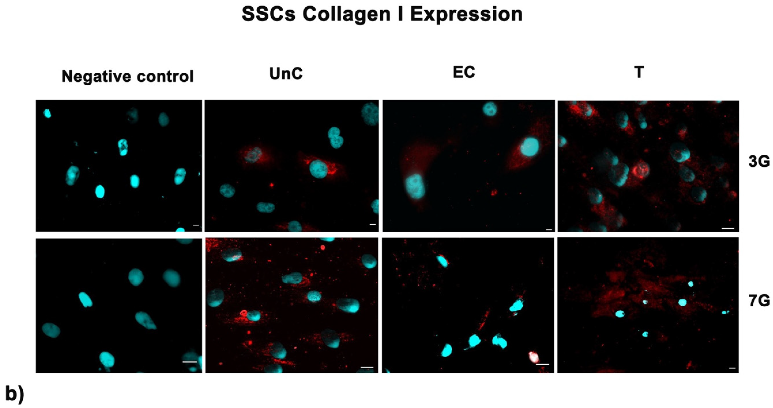 Cells 10 01415 g008b