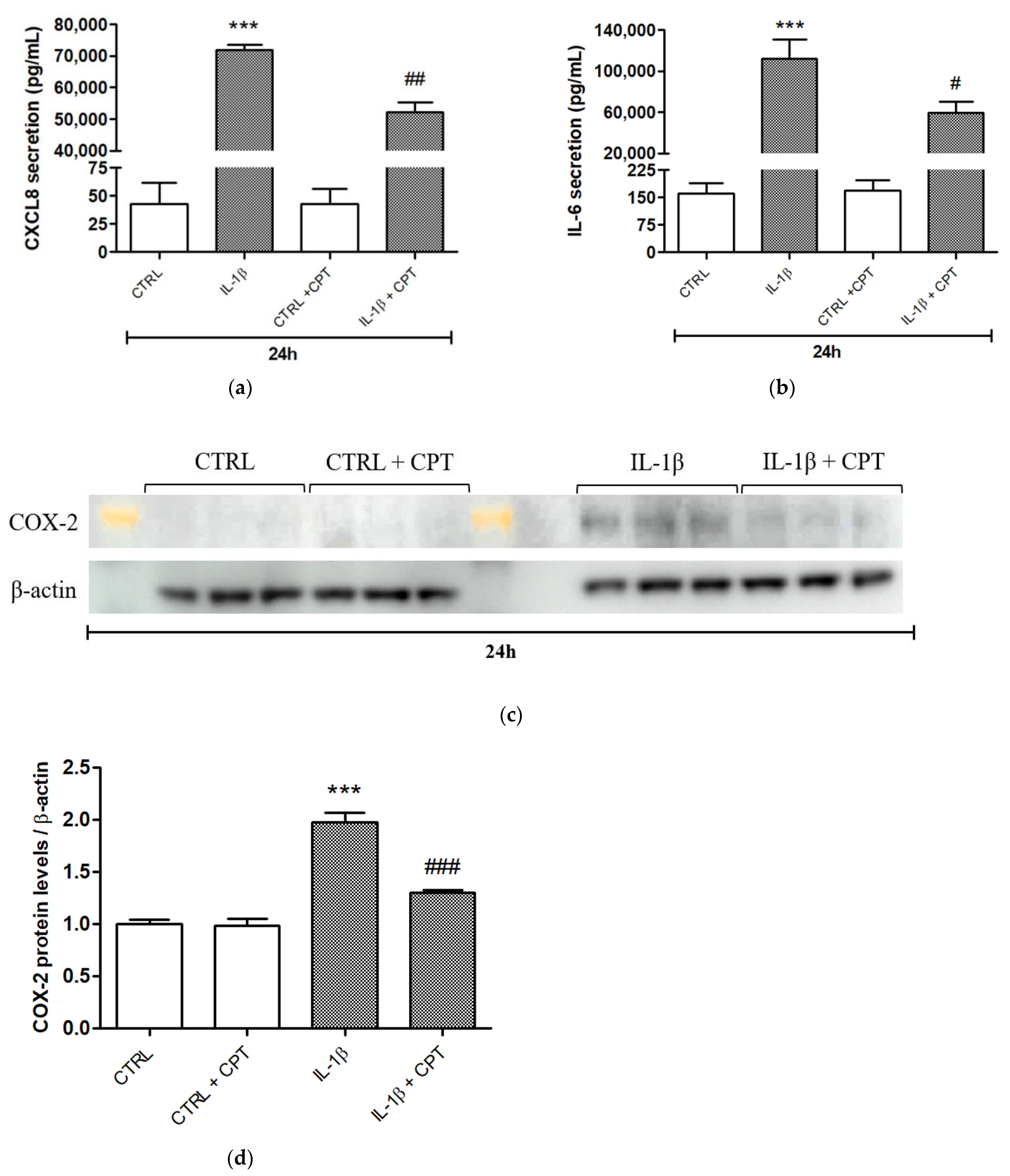Cells 10 01431 g005 Cells 10 01431 g005