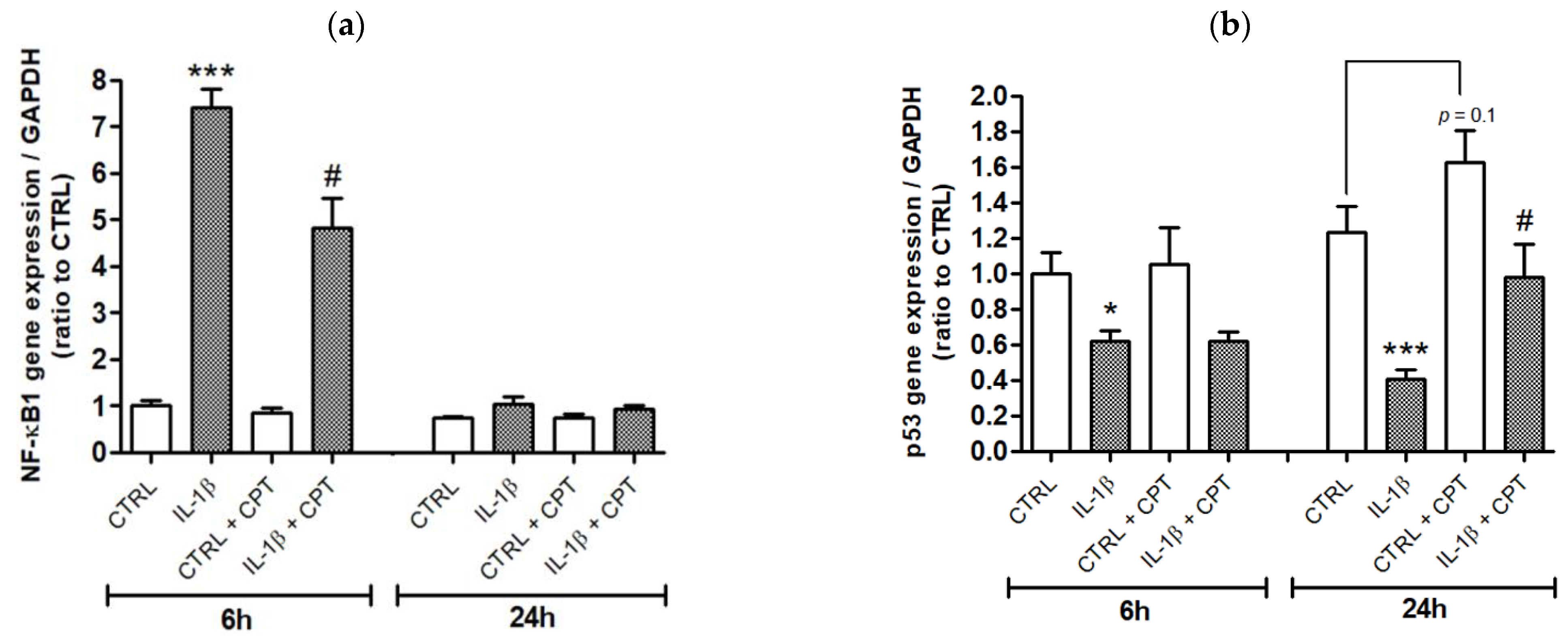 Cells 10 01431 g006 Cells 10 01431 g006