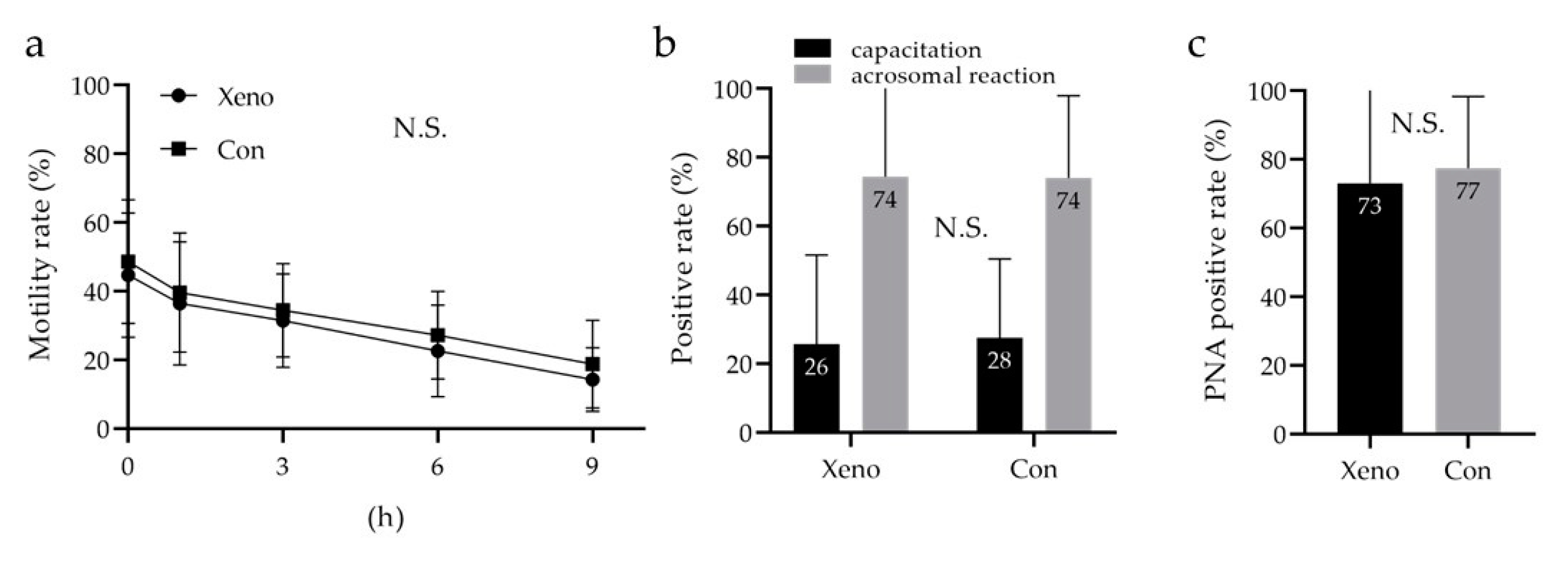 Cells 10 01435 g006 Cells 10 01435 g006