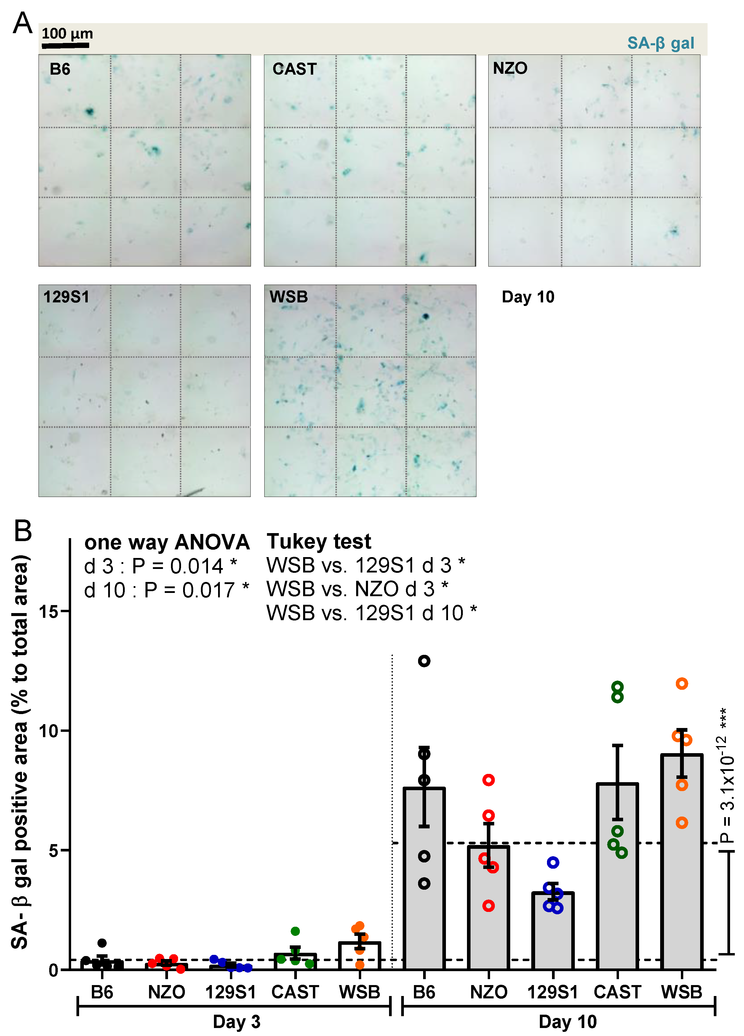 Cells 10 01437 g002 Cells 10 01437 g002