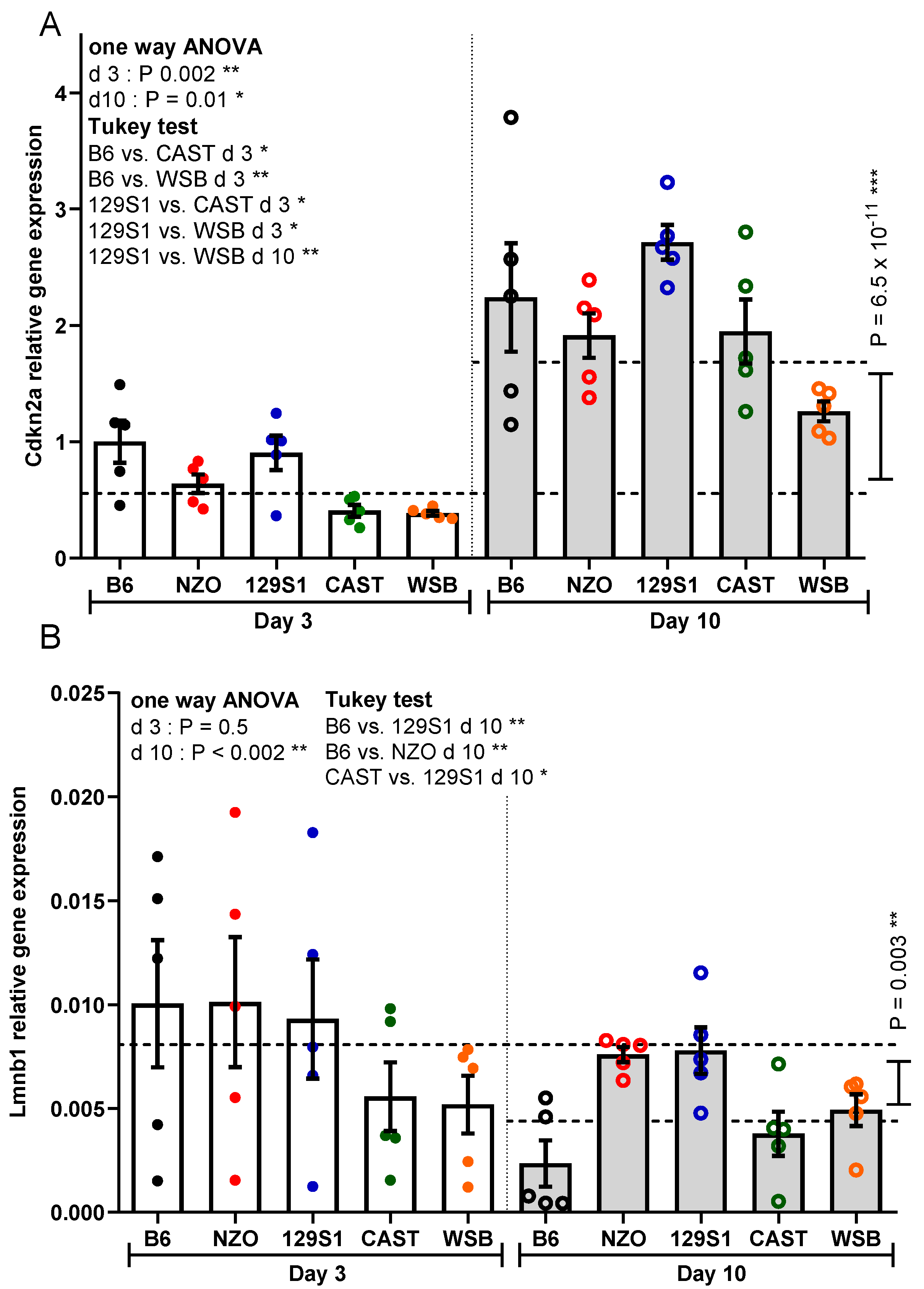 Cells 10 01437 g003 Cells 10 01437 g003