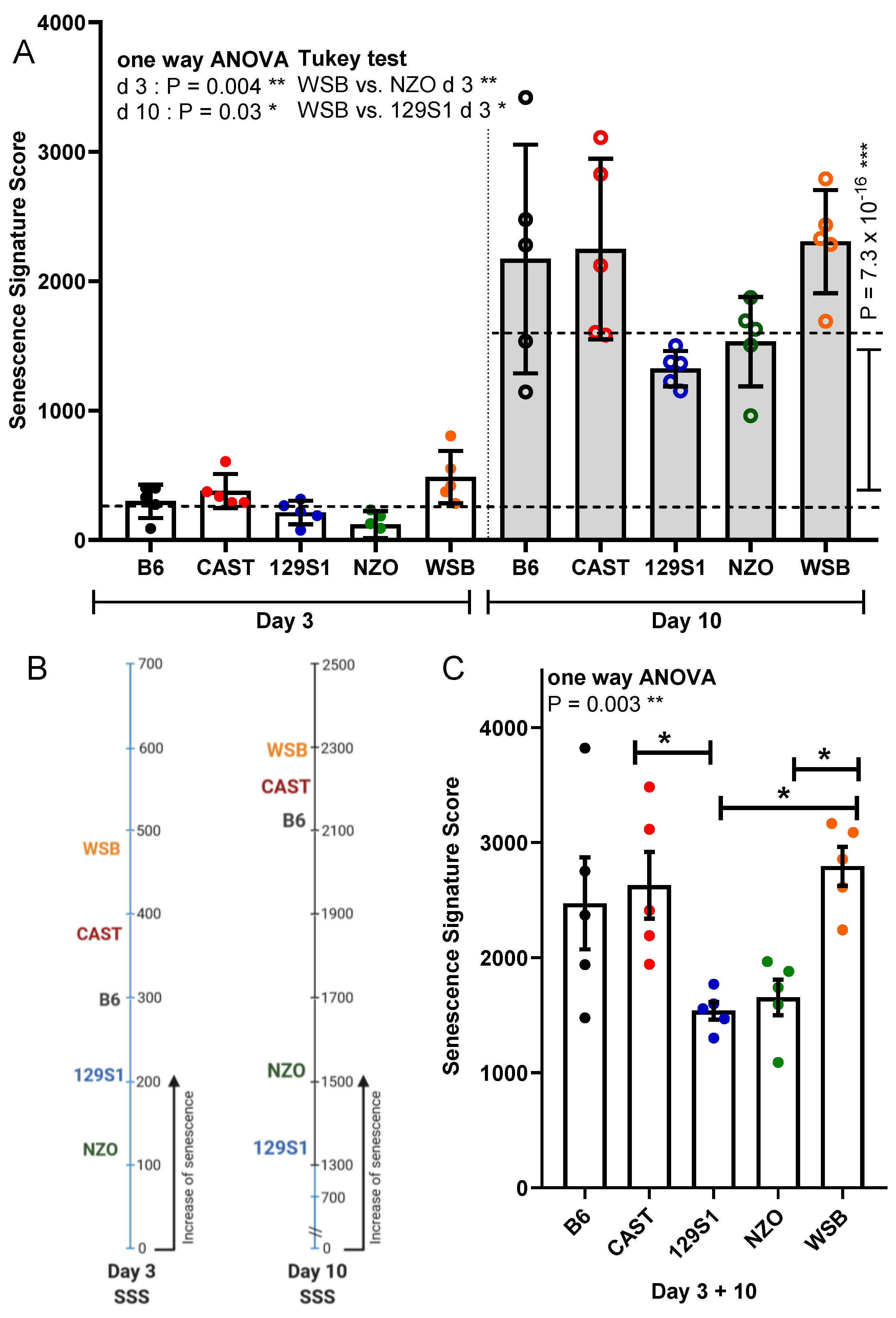 Cells 10 01437 g006 Cells 10 01437 g006