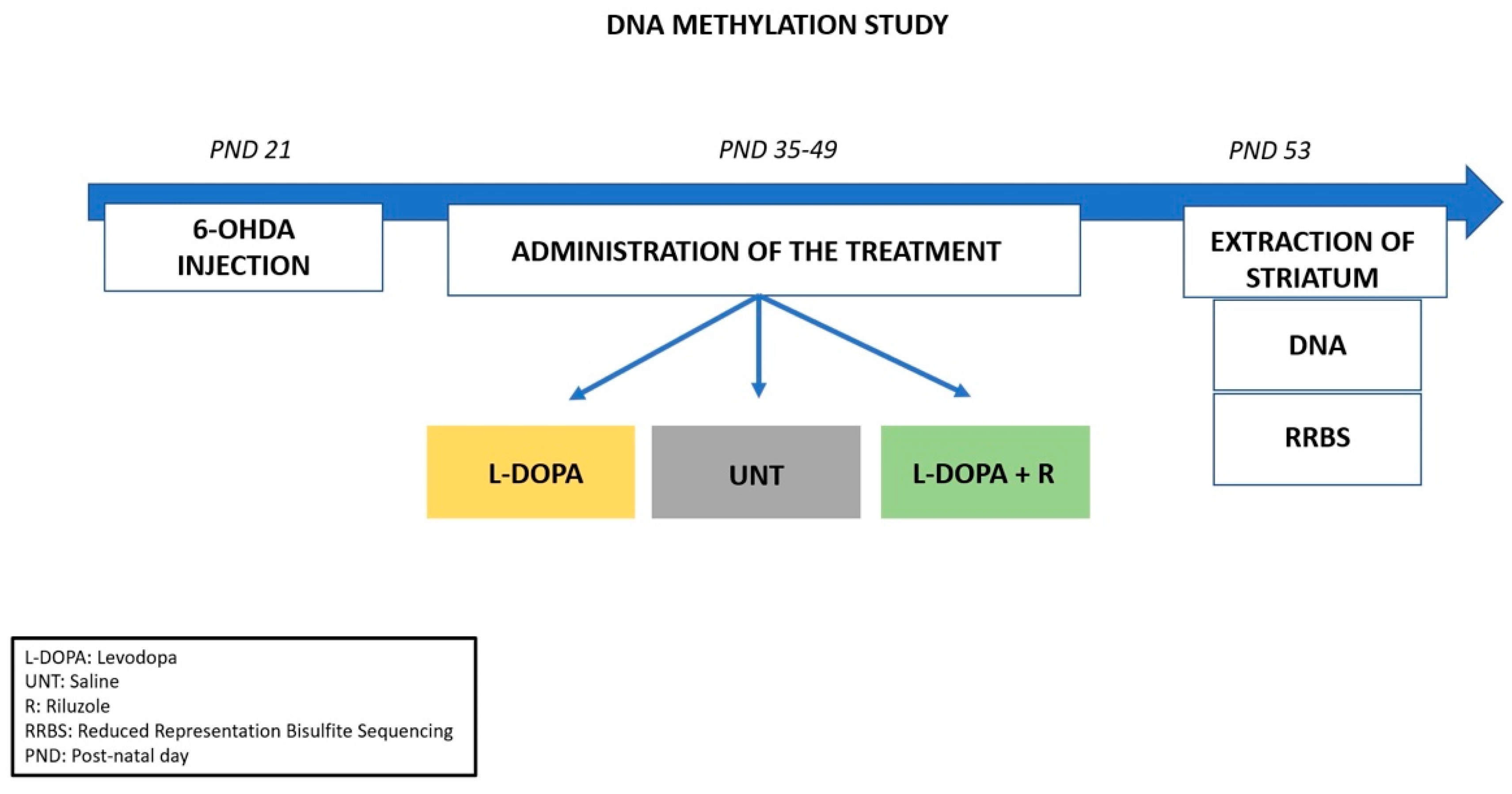 Cells 10 01442 g001 Cells 10 01442 g001