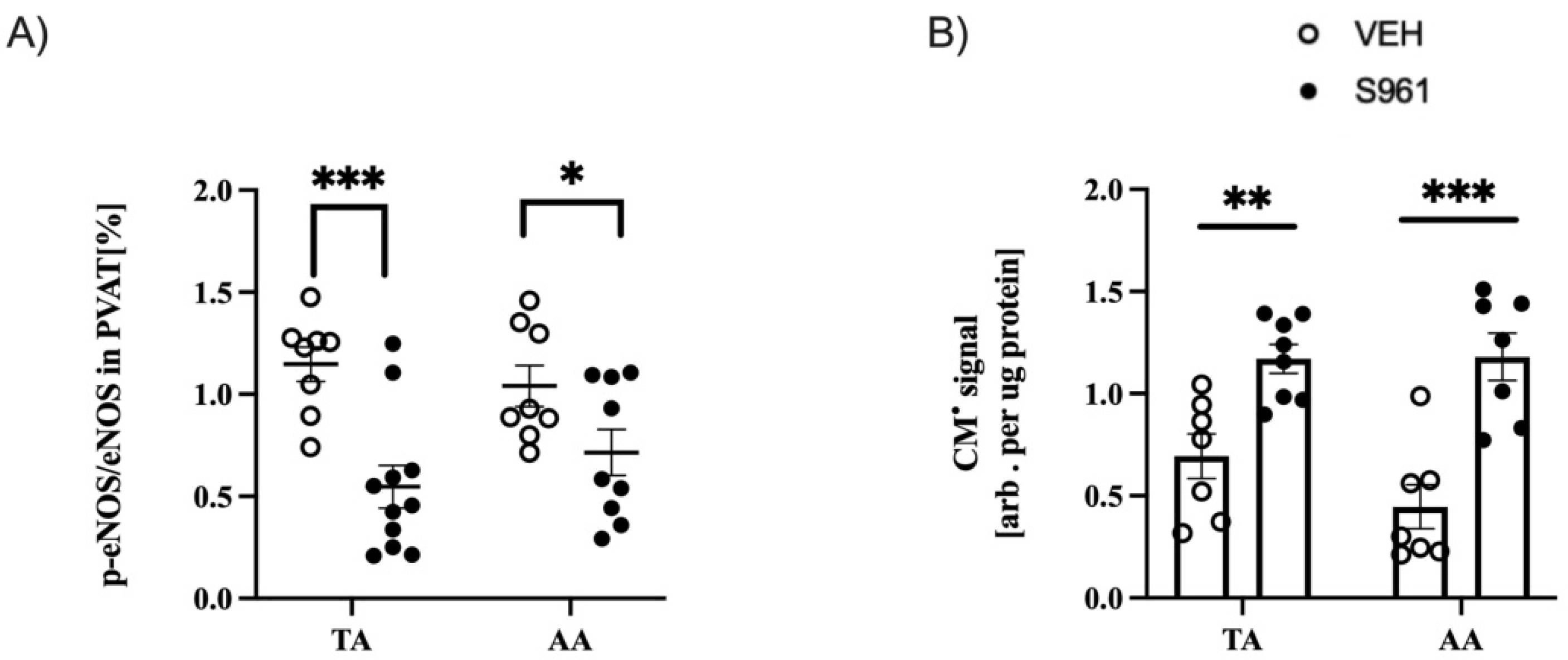 Cells 10 01448 g006 Cells 10 01448 g006