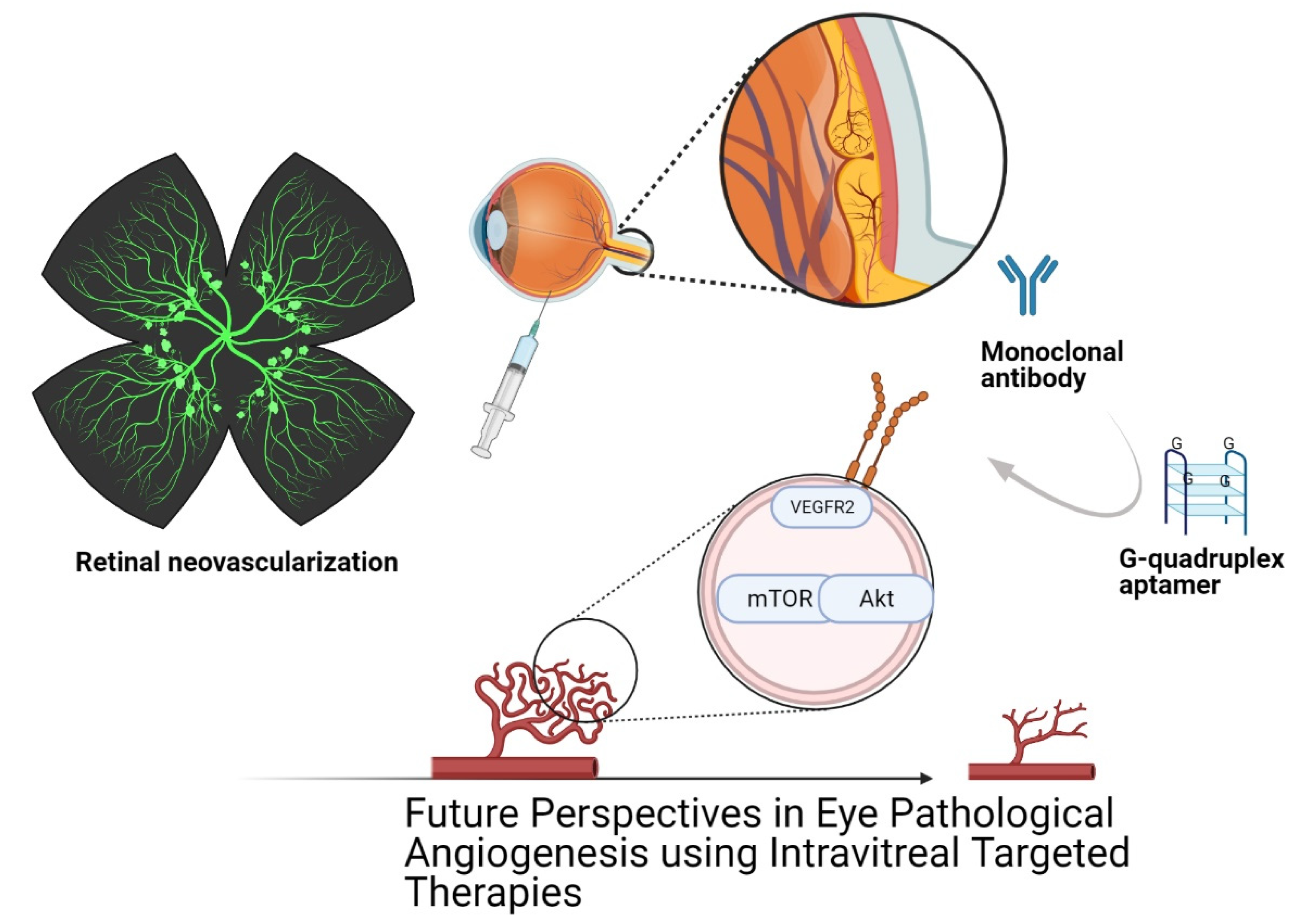 Cells 10 01455 g001 Cells 10 01455 g001