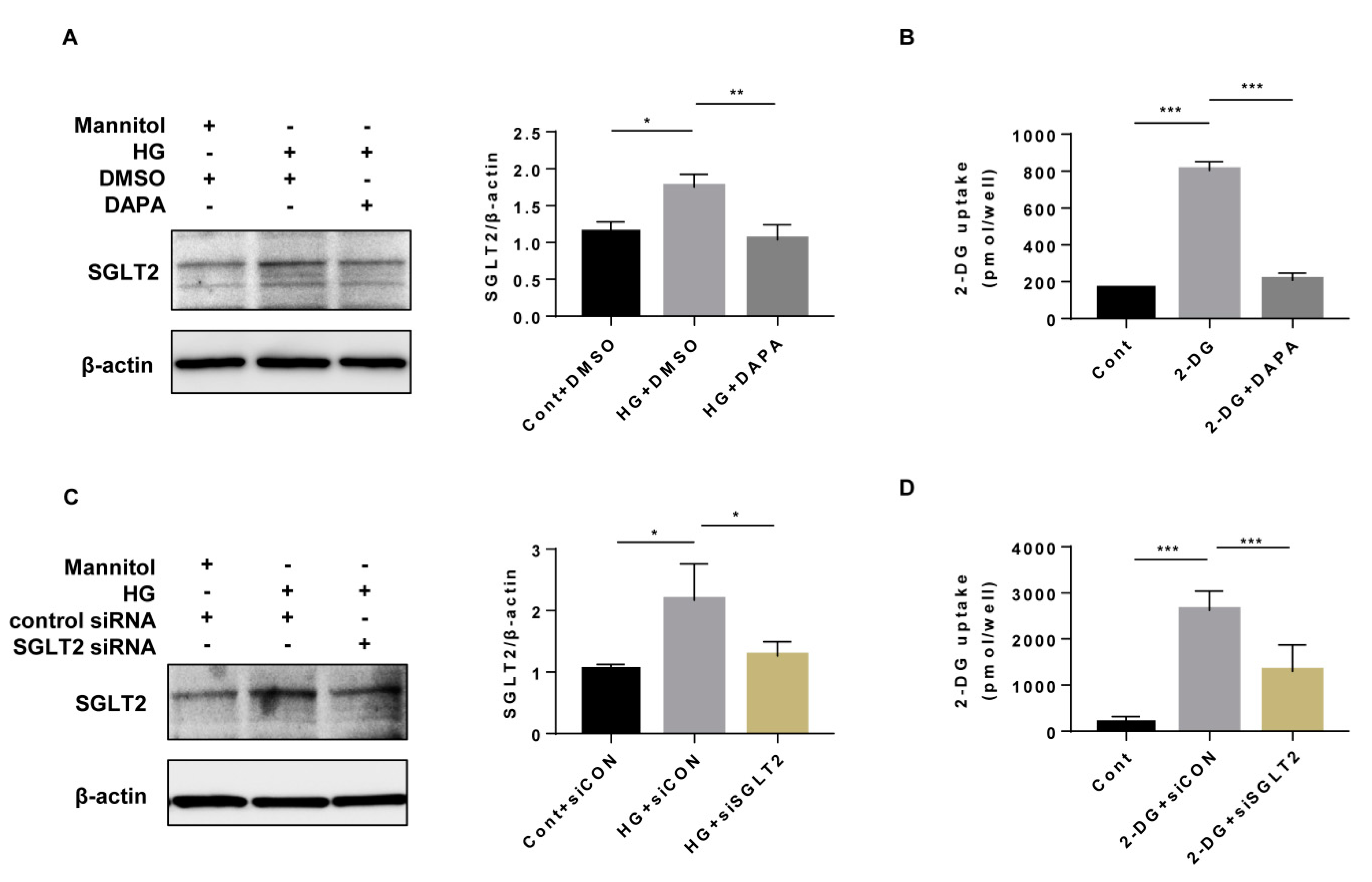 Cells 10 01457 g001 Cells 10 01457 g001