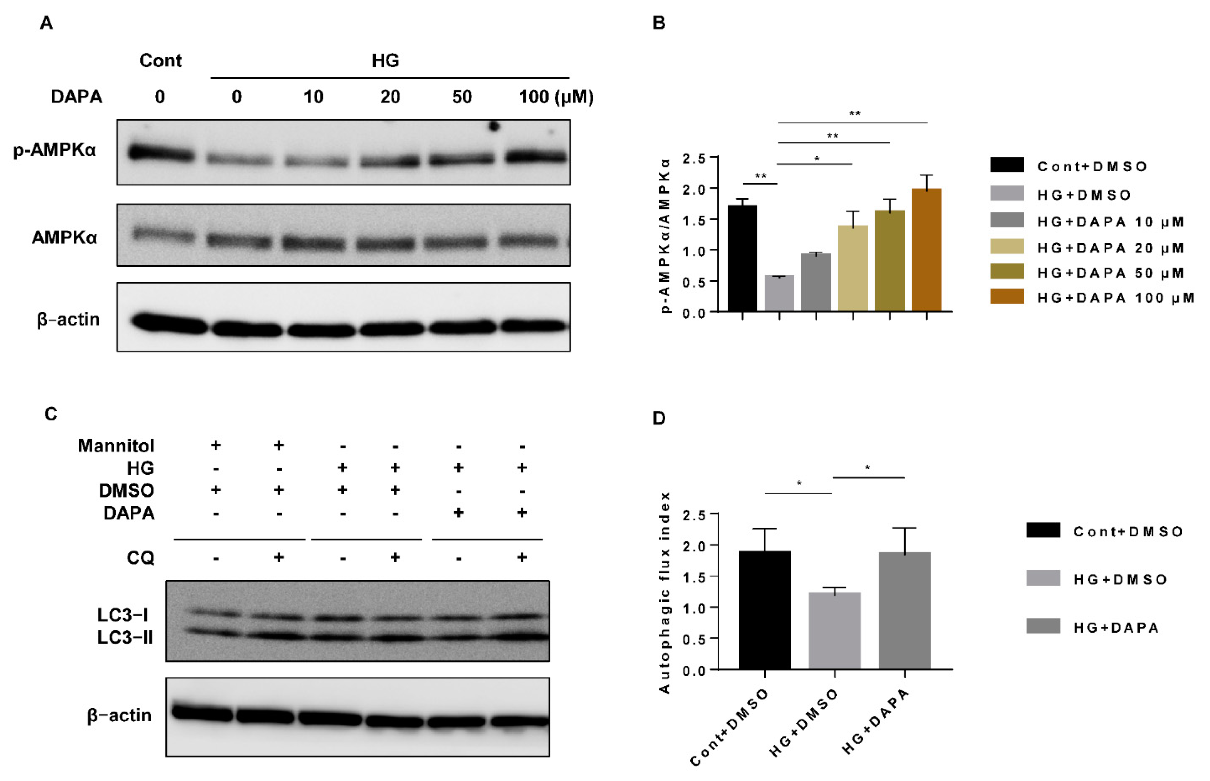 Cells 10 01457 g002 Cells 10 01457 g002