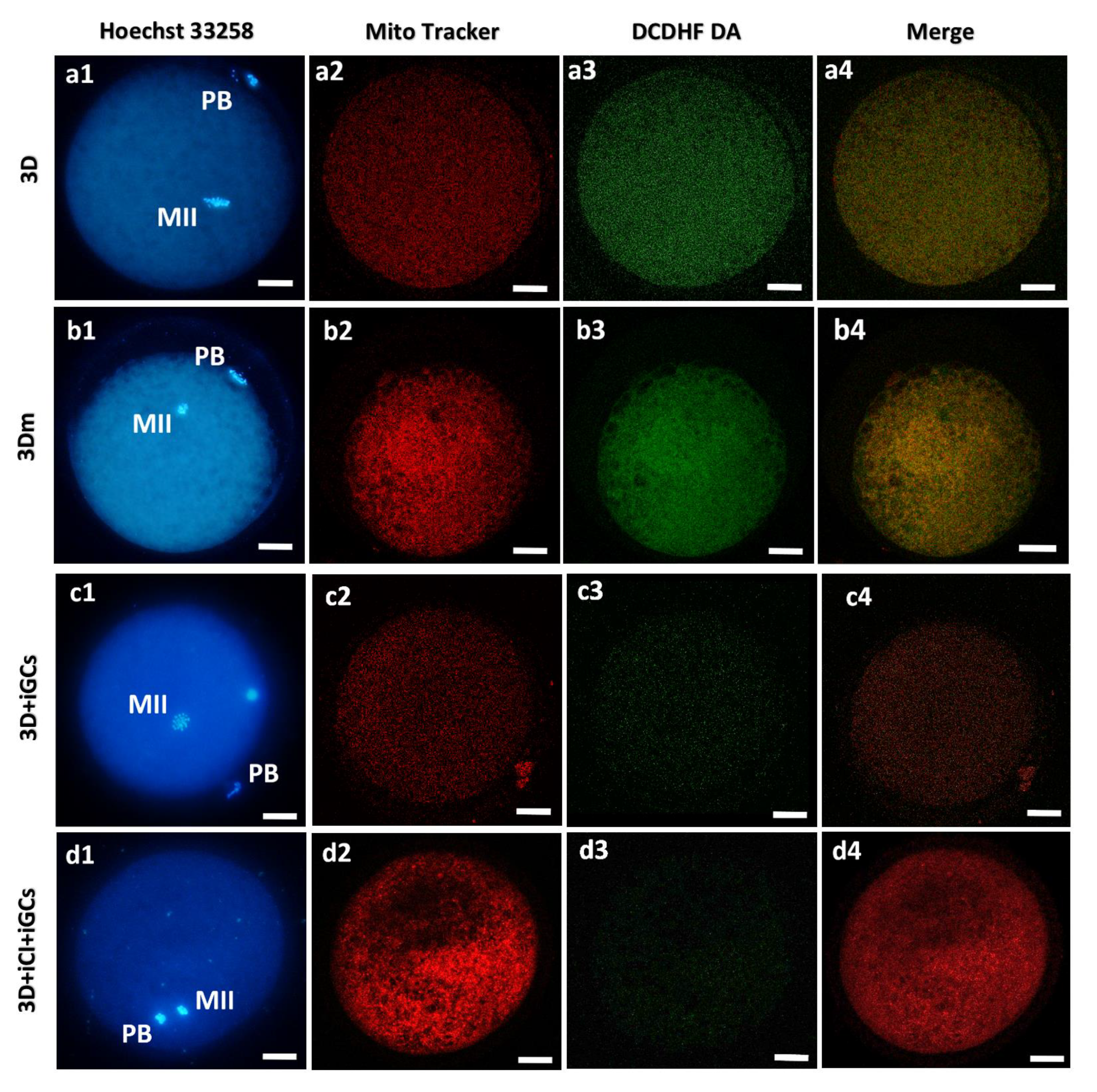 Cells 10 01458 g009 Cells 10 01458 g009