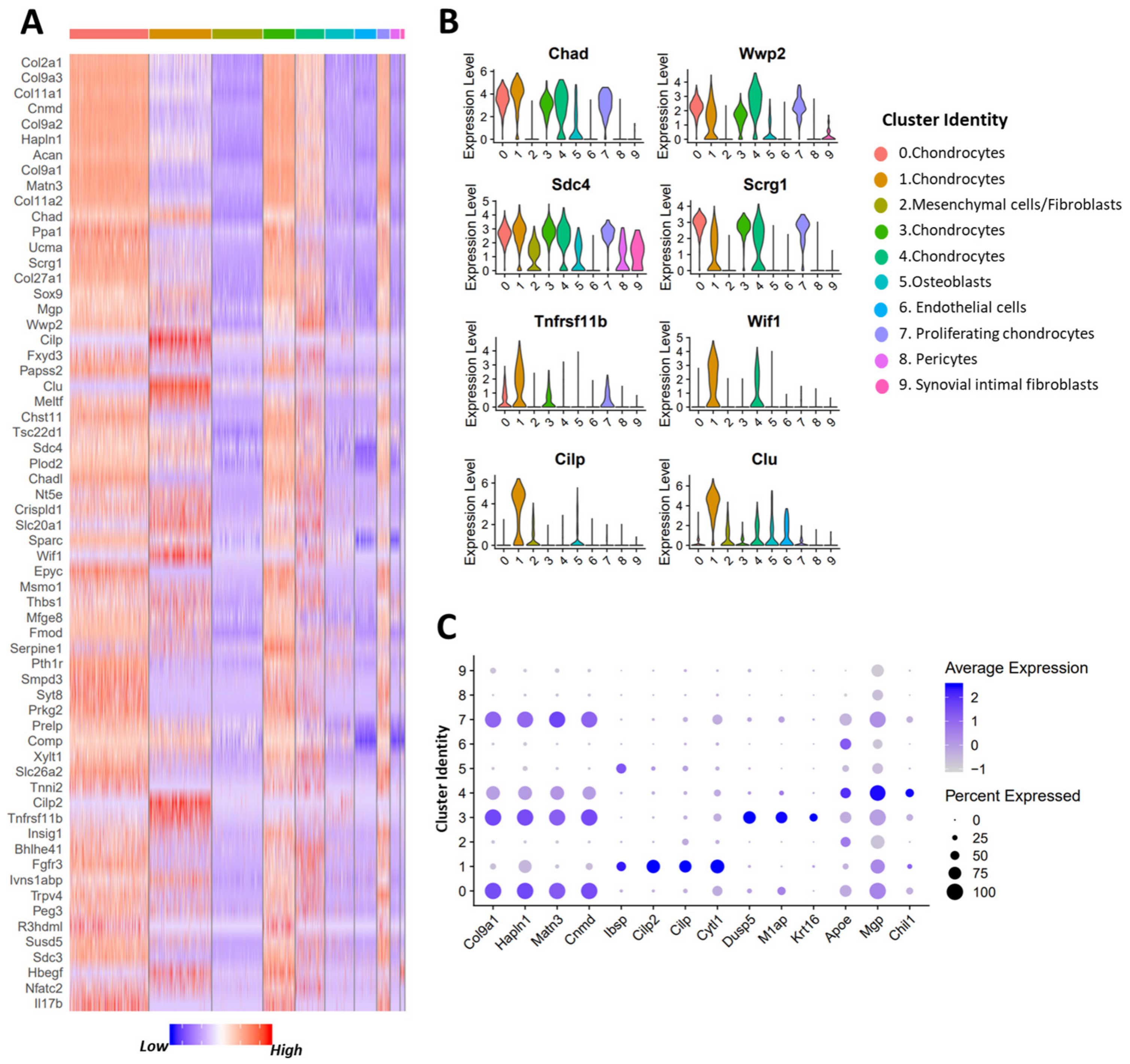 Cells 10 01462 g002 Cells 10 01462 g002
