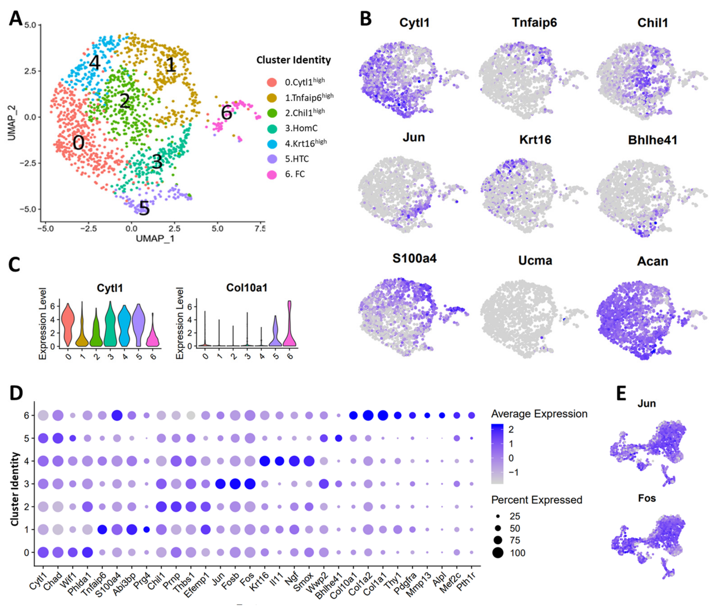 Cells 10 01462 g005 Cells 10 01462 g005