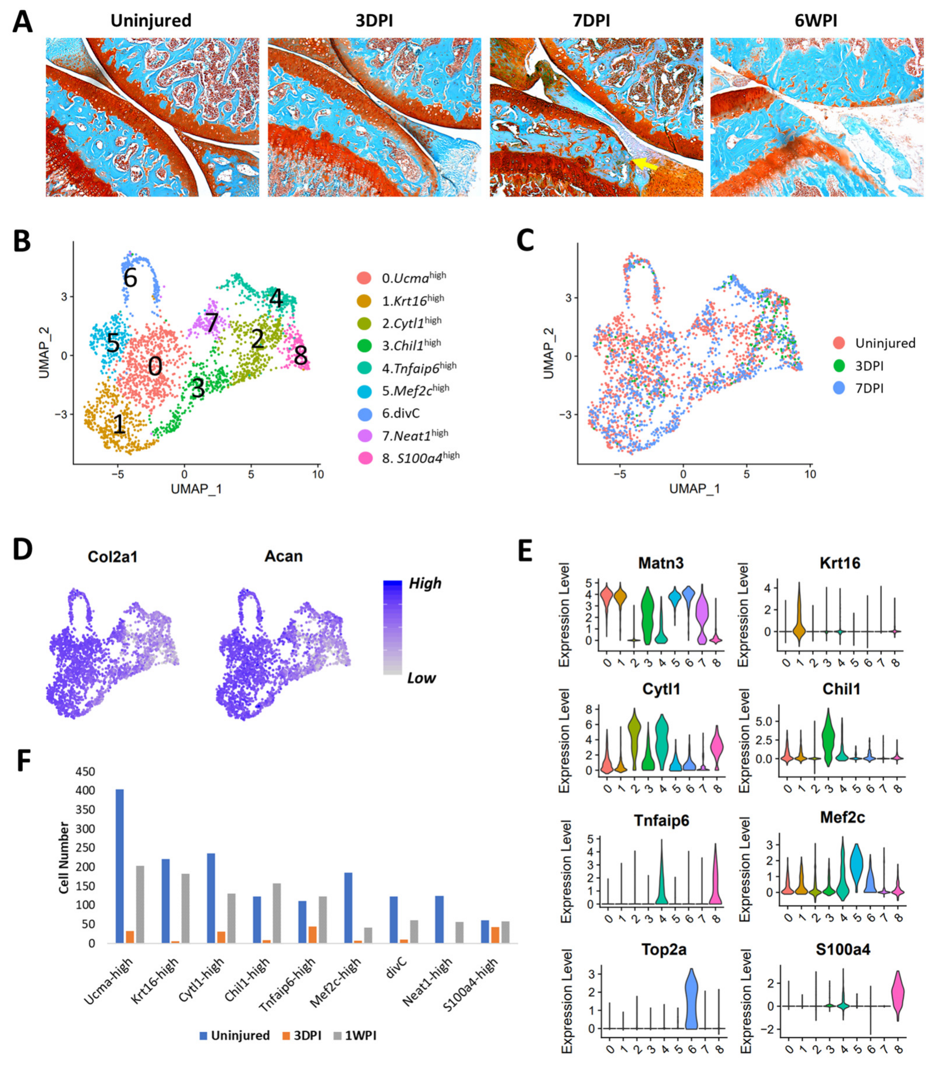 Cells 10 01462 g006 Cells 10 01462 g006