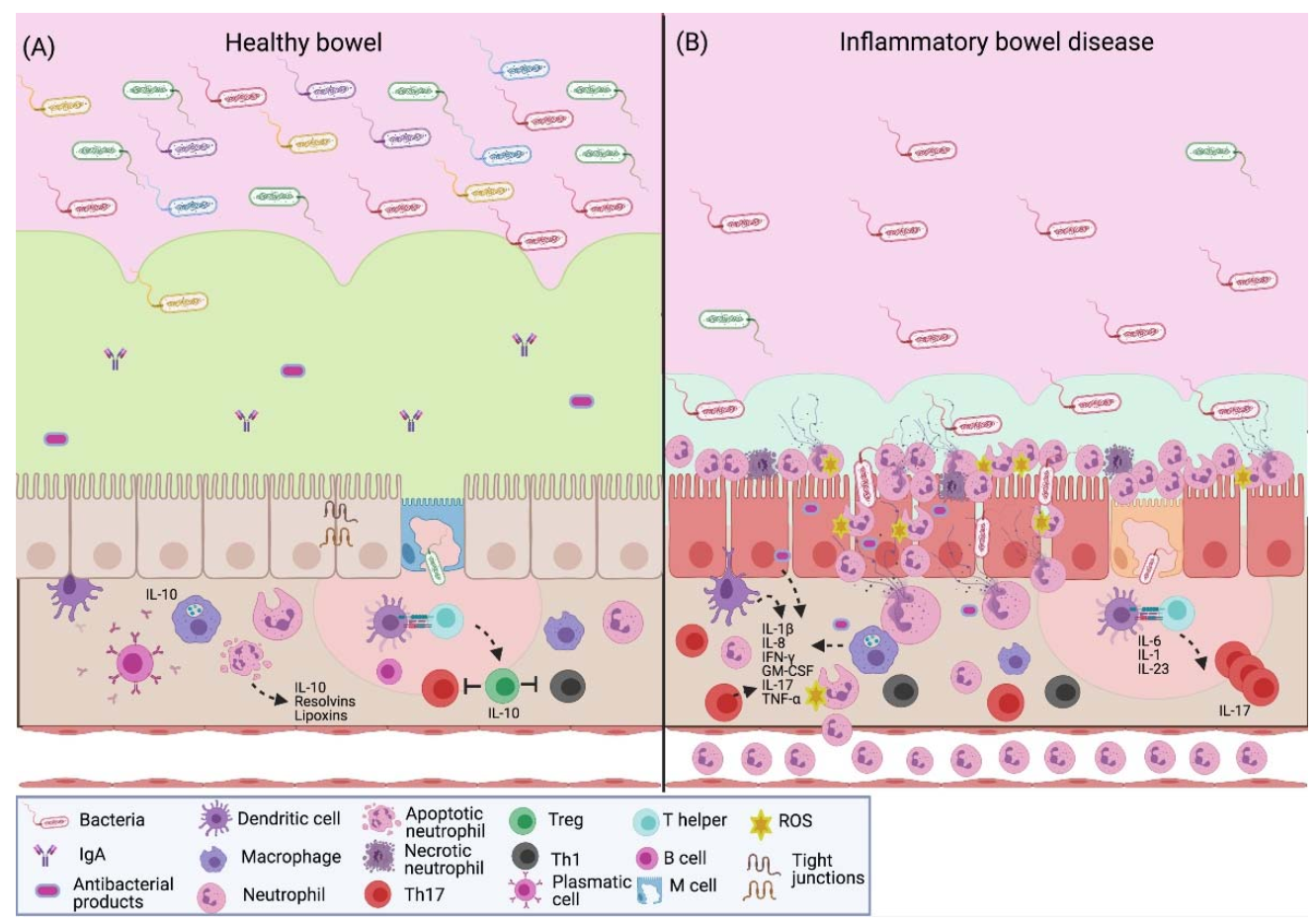 Cells 10 01469 g002 Cells 10 01469 g002
