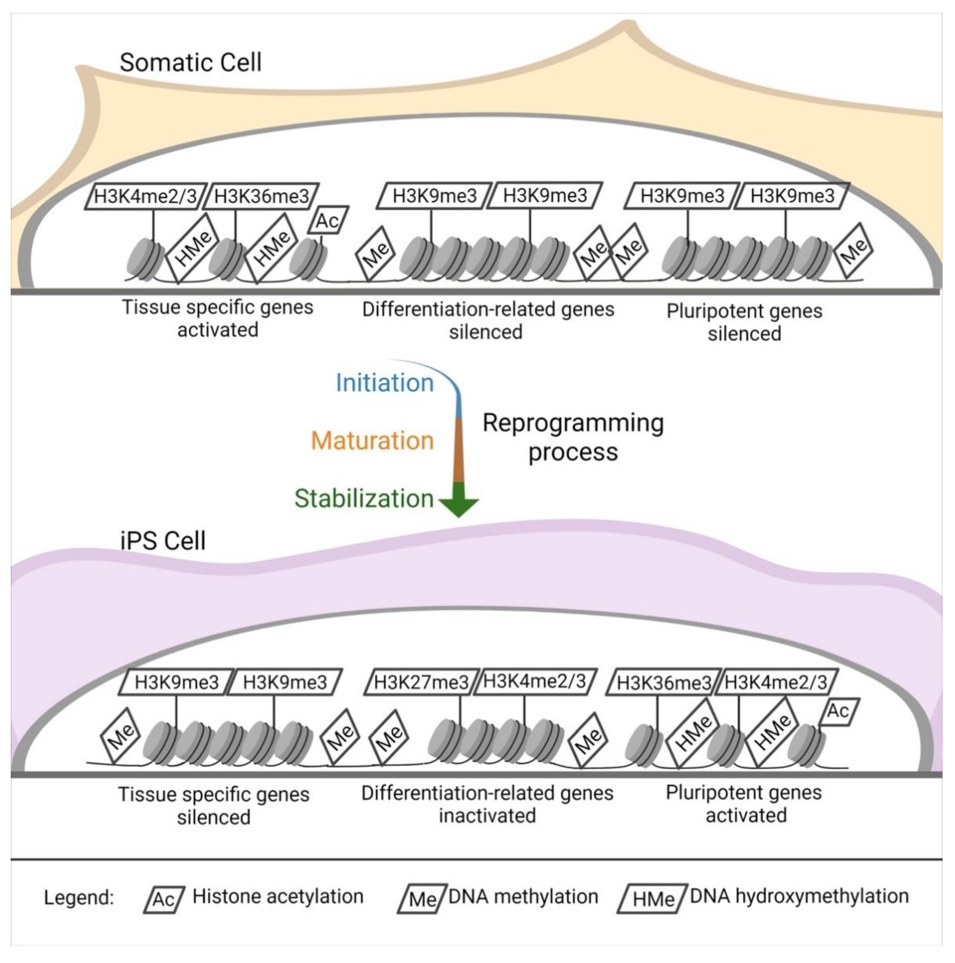 Cells 10 01470 g002 Cells 10 01470 g002