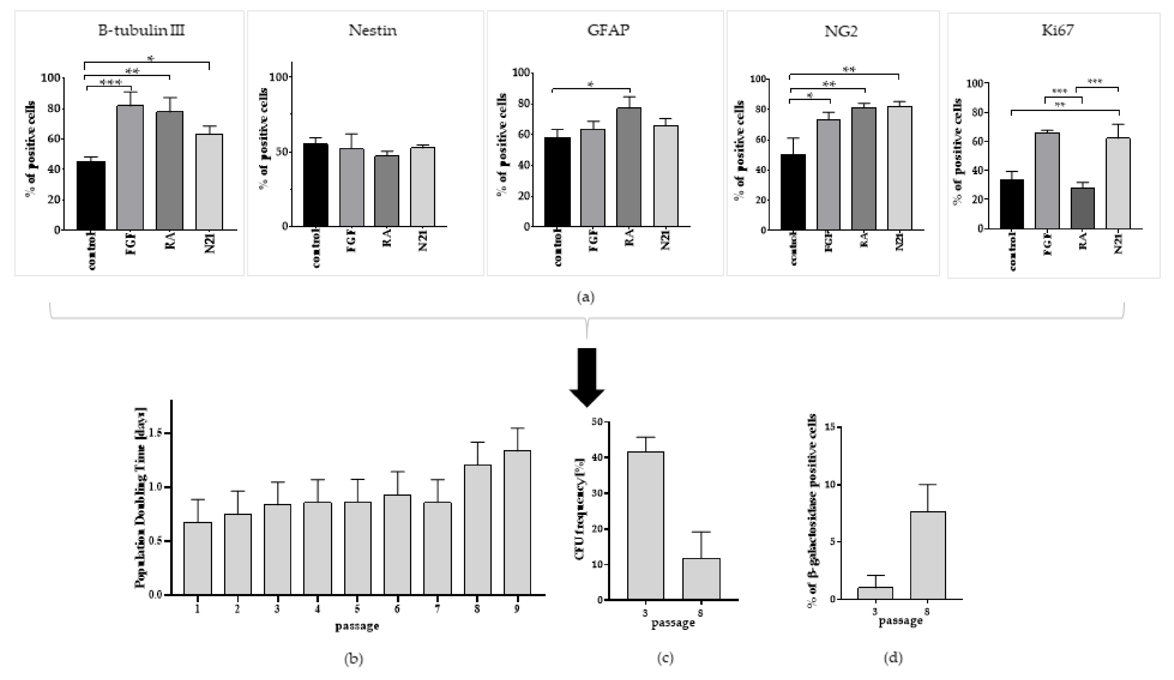 Cells 10 01475 g007 Cells 10 01475 g007
