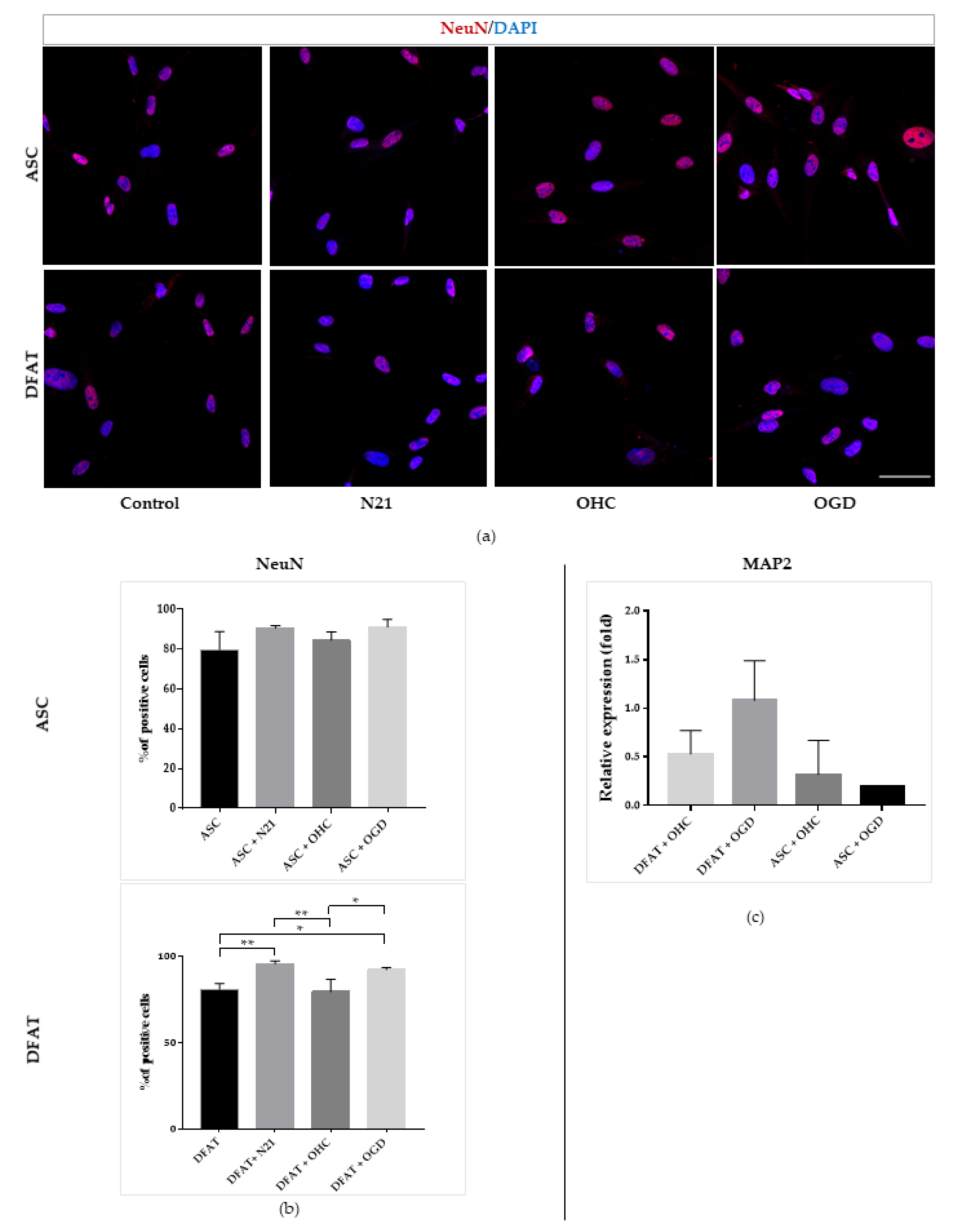 Cells 10 01475 g011 Cells 10 01475 g011