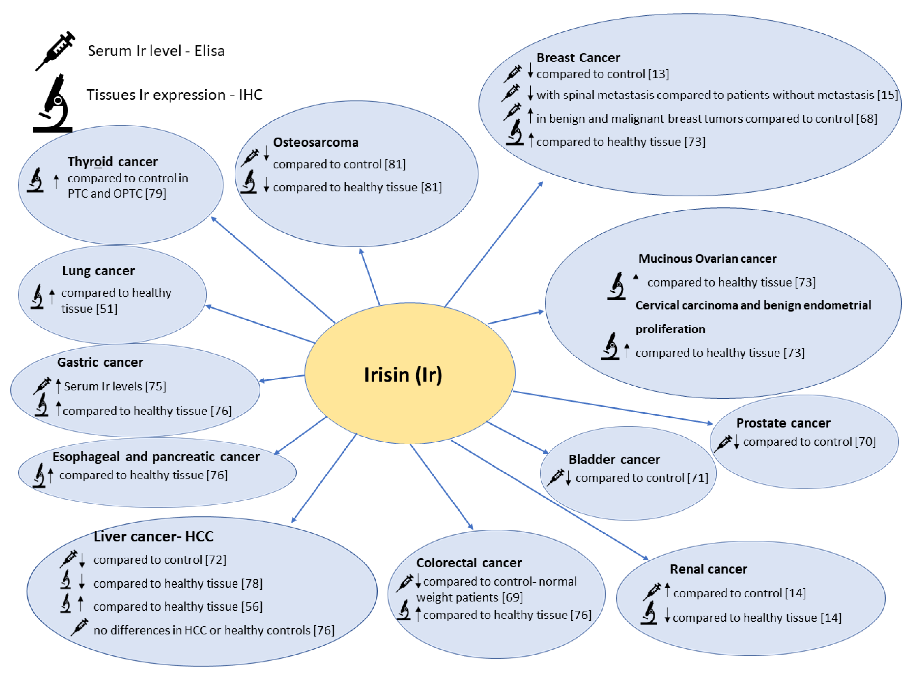 Cells 10 01479 g004 Cells 10 01479 g004